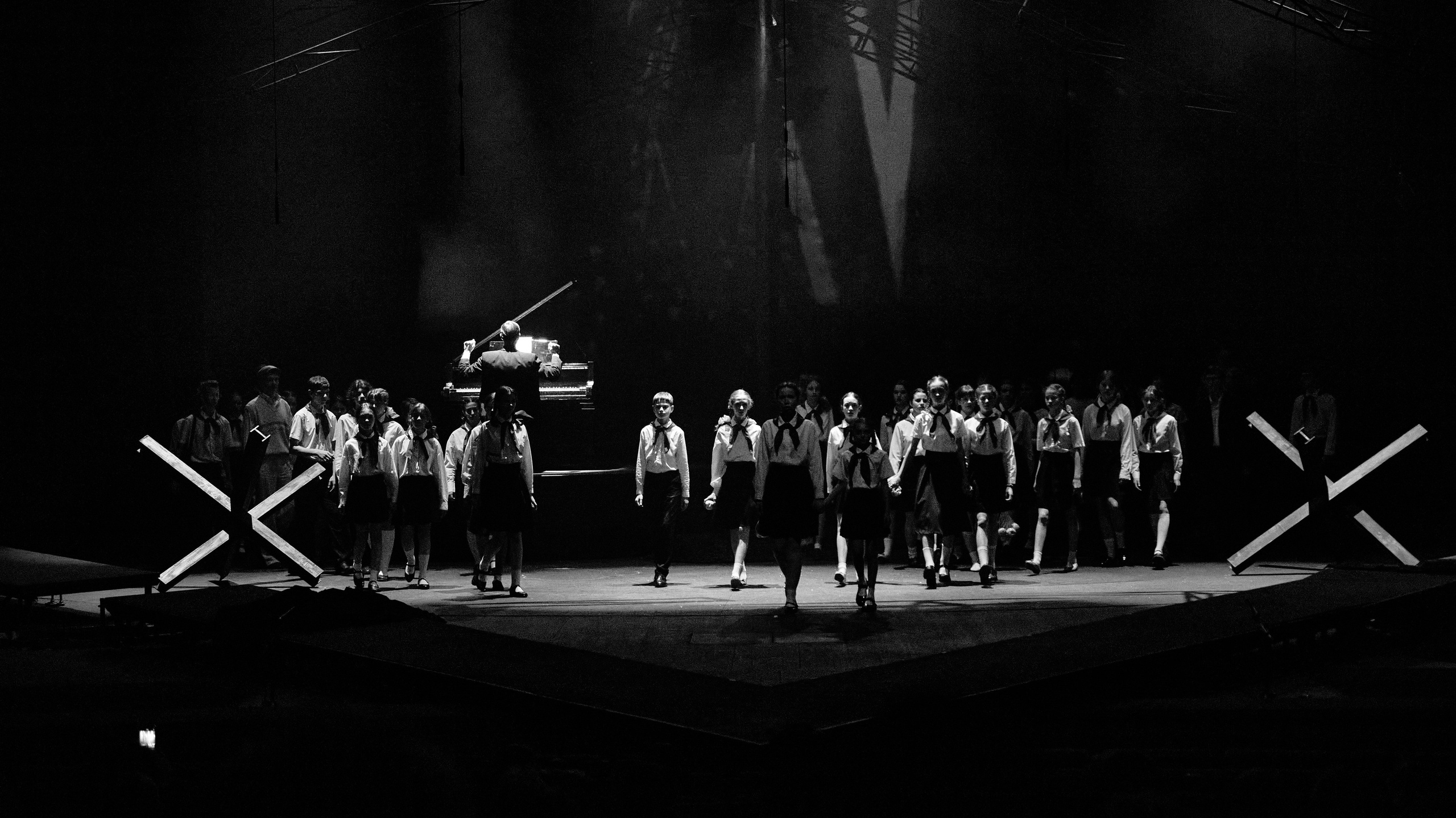 Летят журавли. Фотограф Юлия Маринина