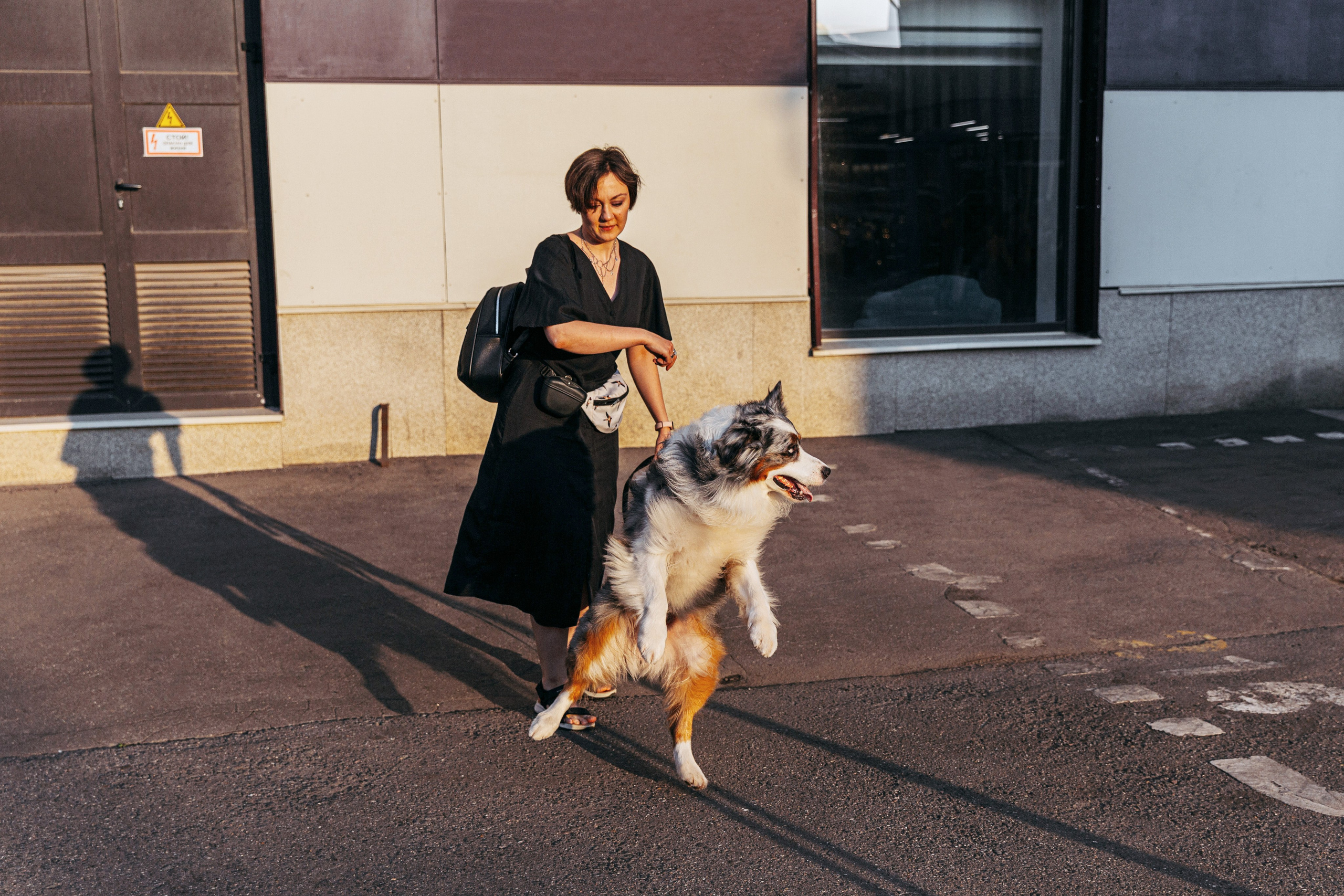 Лена и Принц. Фотограф-анималист в Москве Соломонова Варвара
