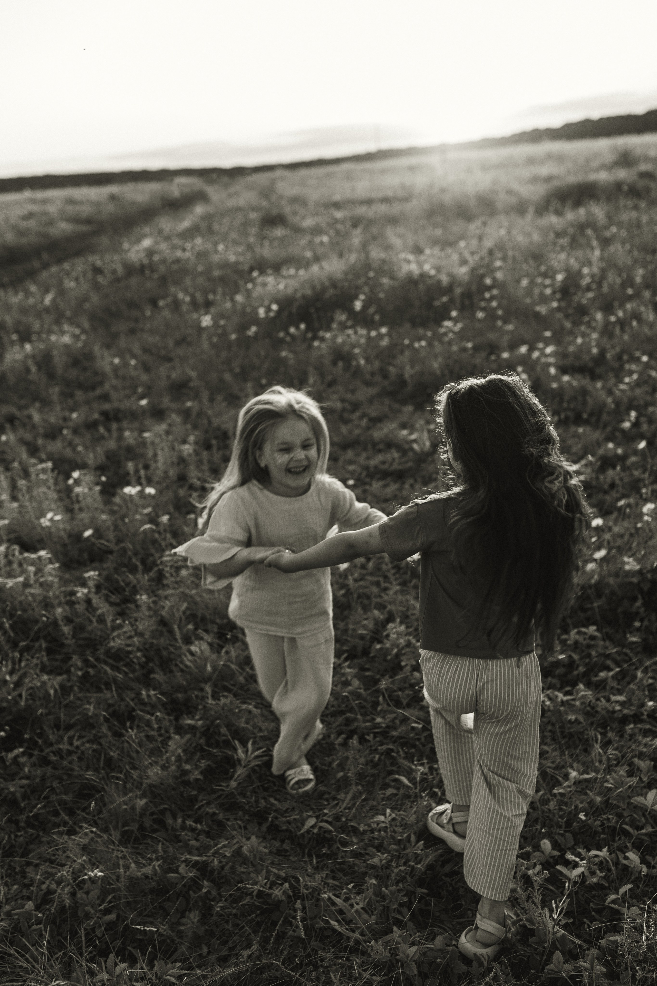 Закат на ромашковом поле. Фотограф в Ставрополе Svetlana Matveeva