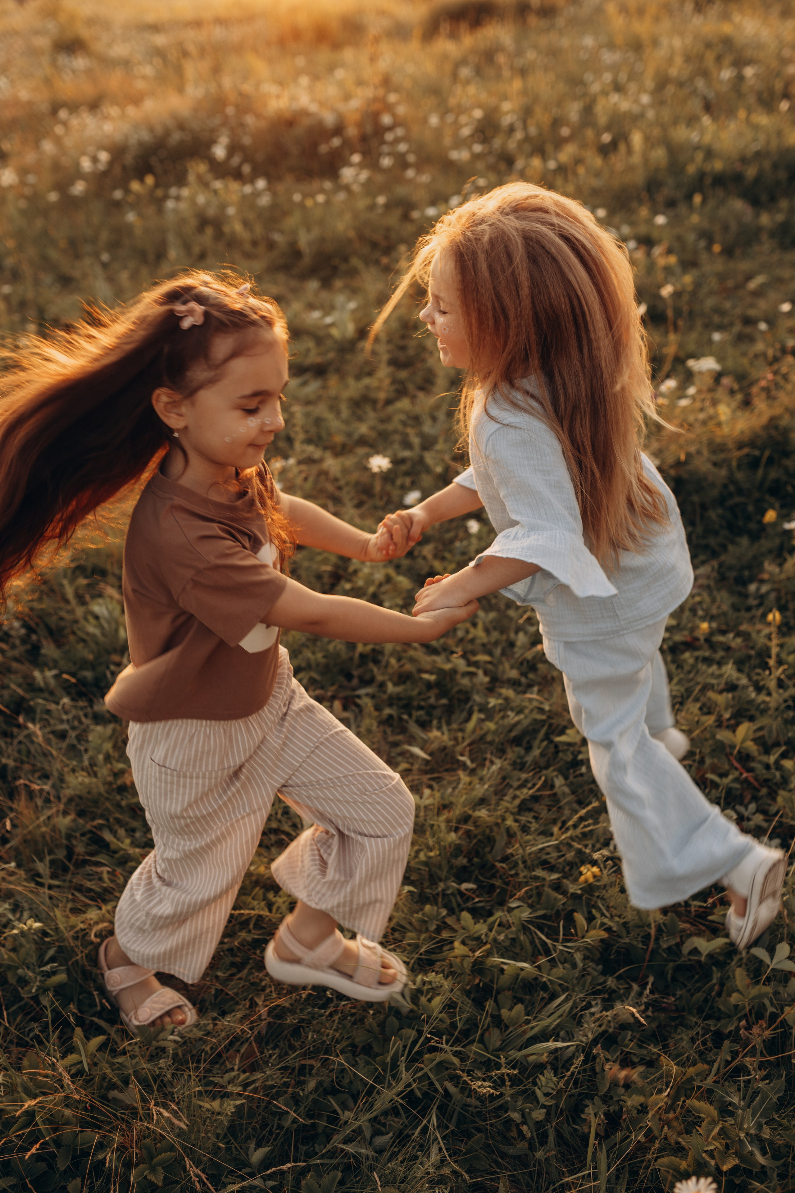 Закат на ромашковом поле. Фотограф в Ставрополе Svetlana Matveeva