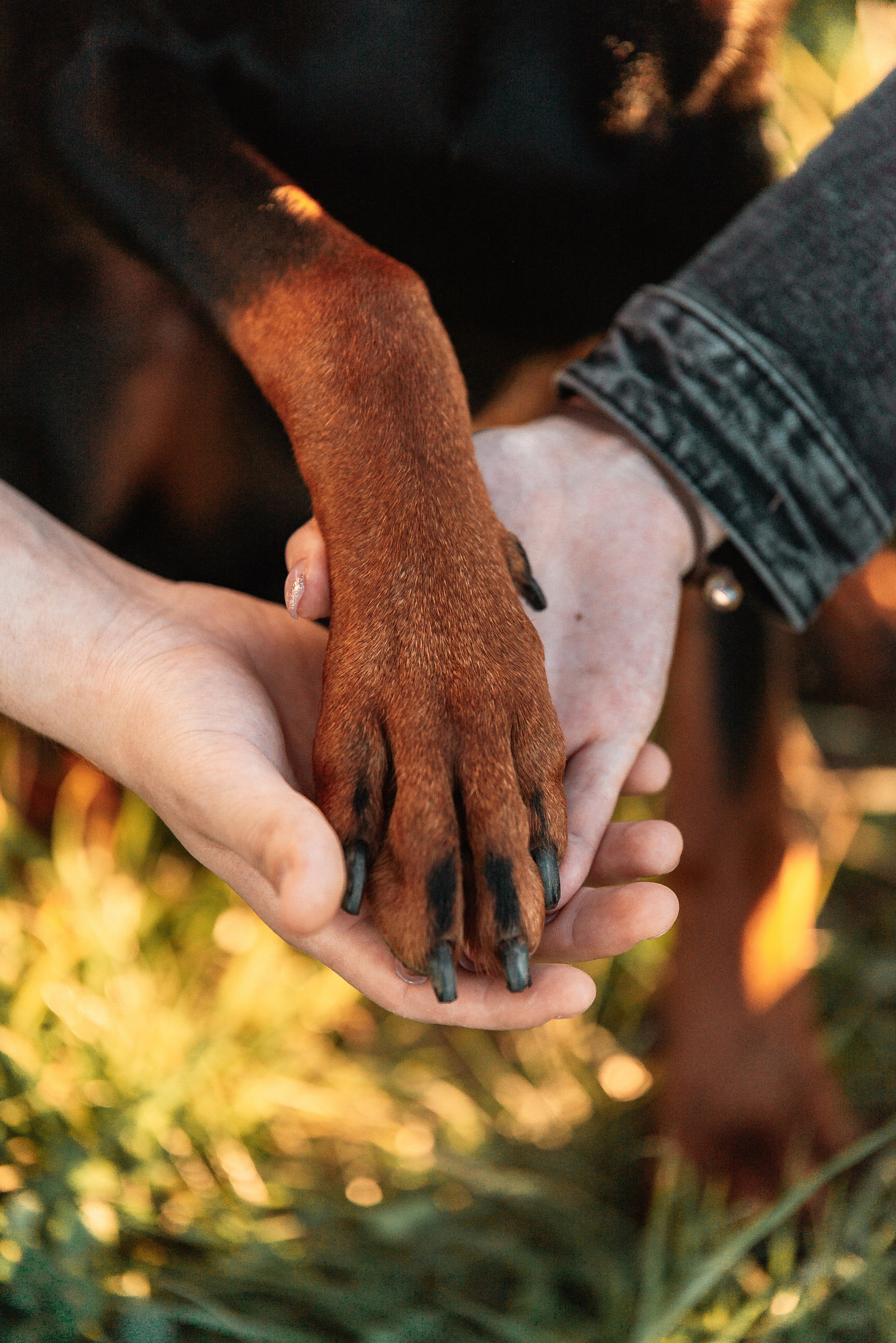 Юля, Андрей и Арес. Фотограф-анималист Анастасия Парфенова|Екатеринбург
