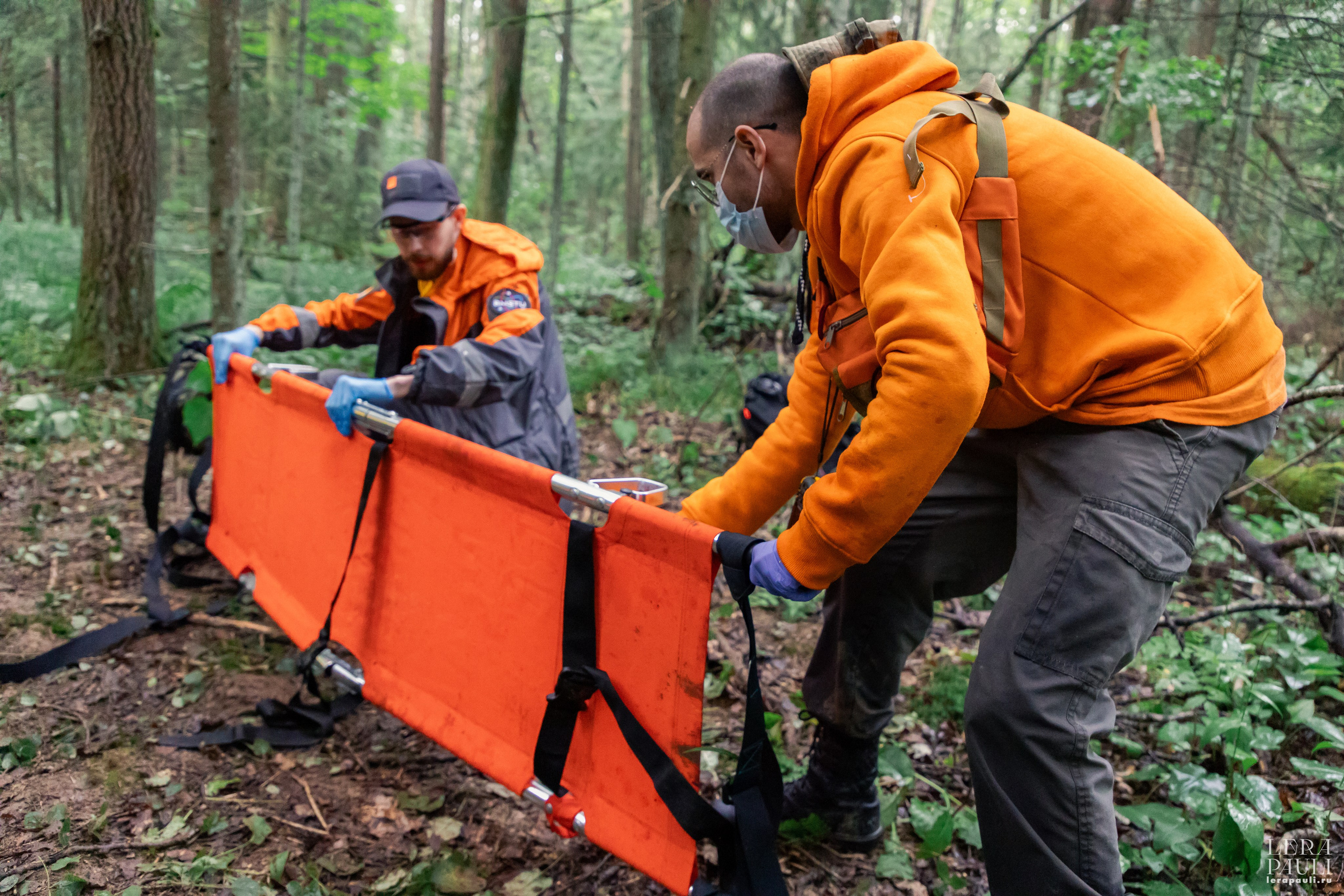 ДПСО «ЛизаАлерт». Главная