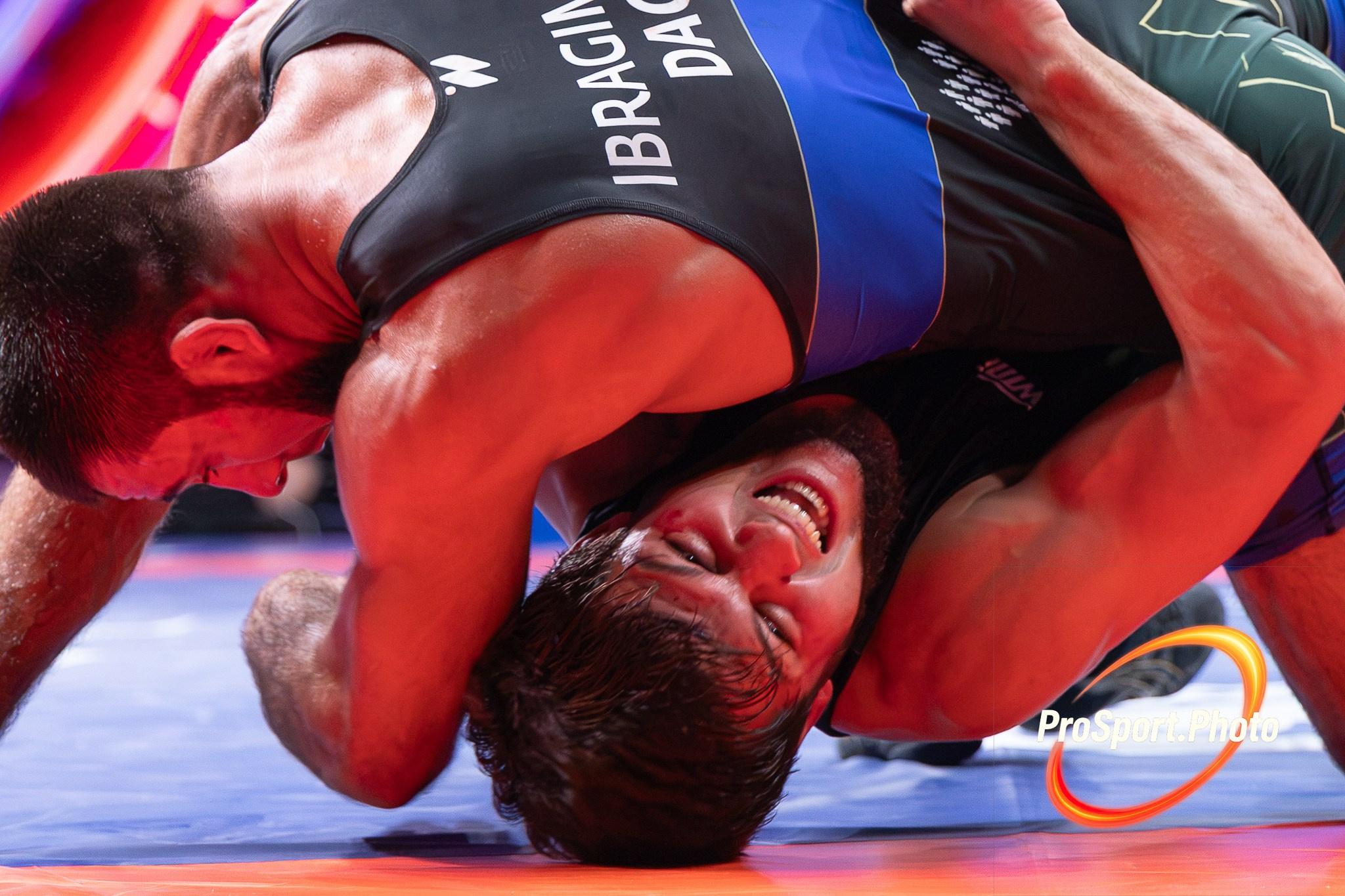 Финал Чемпионата России по вольной борьбе-2026