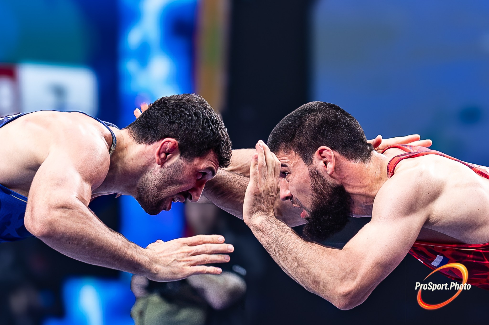Финал Чемпионата России по вольной борьбе-2026