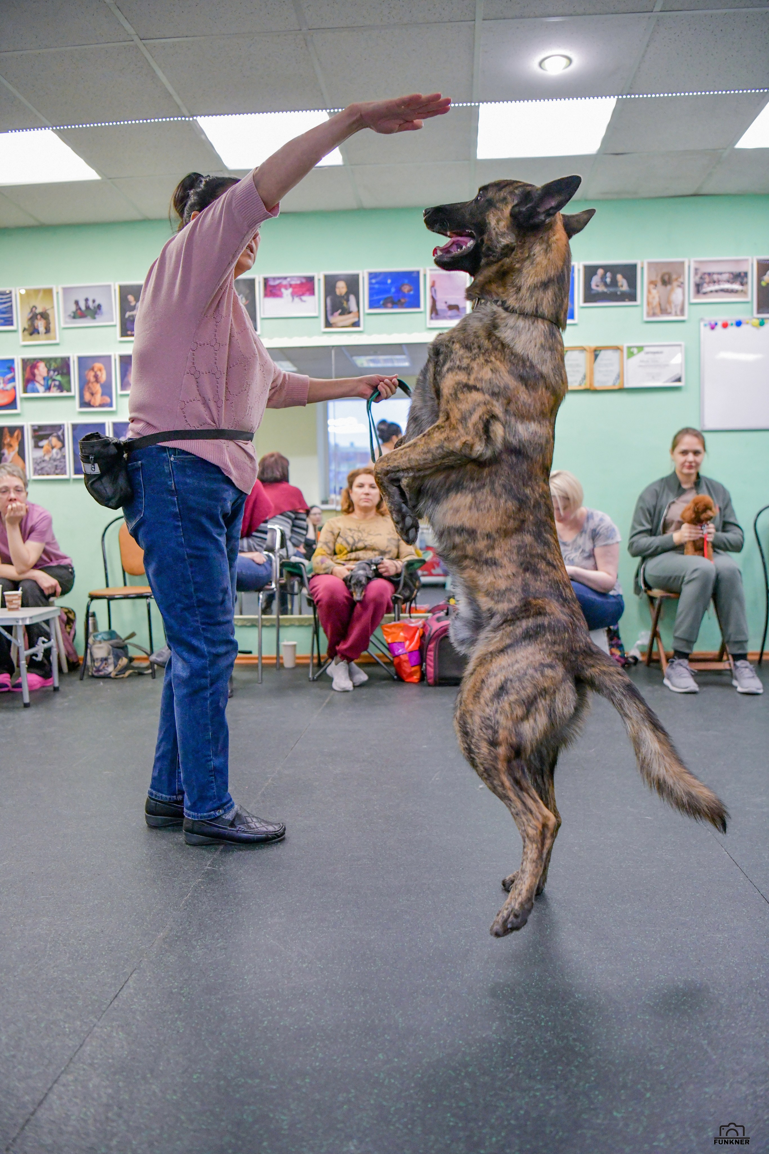Кинологический клуб «Бодрый хвост». Свой взгляд через объектив