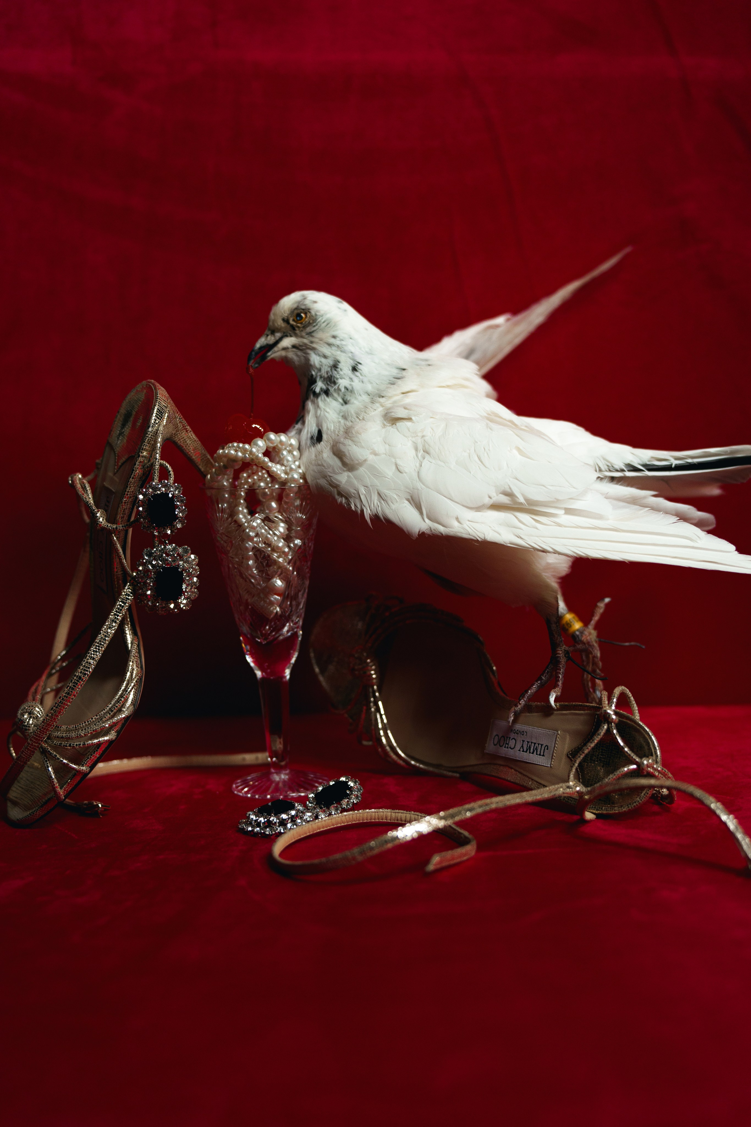 After midnight. Свадебный фотограф в Ростовe-на-Дону Анастасия Прутова