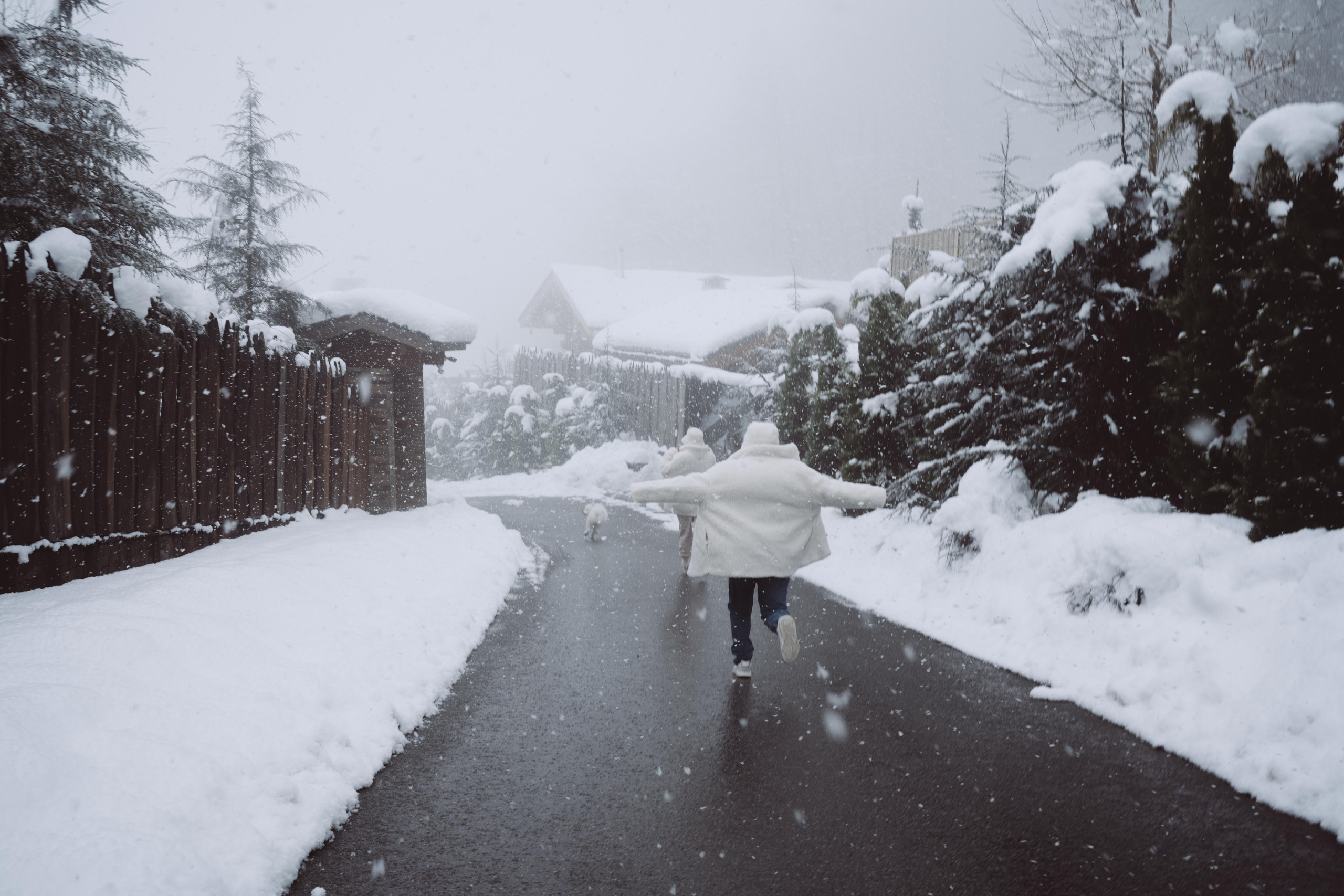 Антон, Дарья и Шани. Фотограф в Сочи Щетинина Анастасия