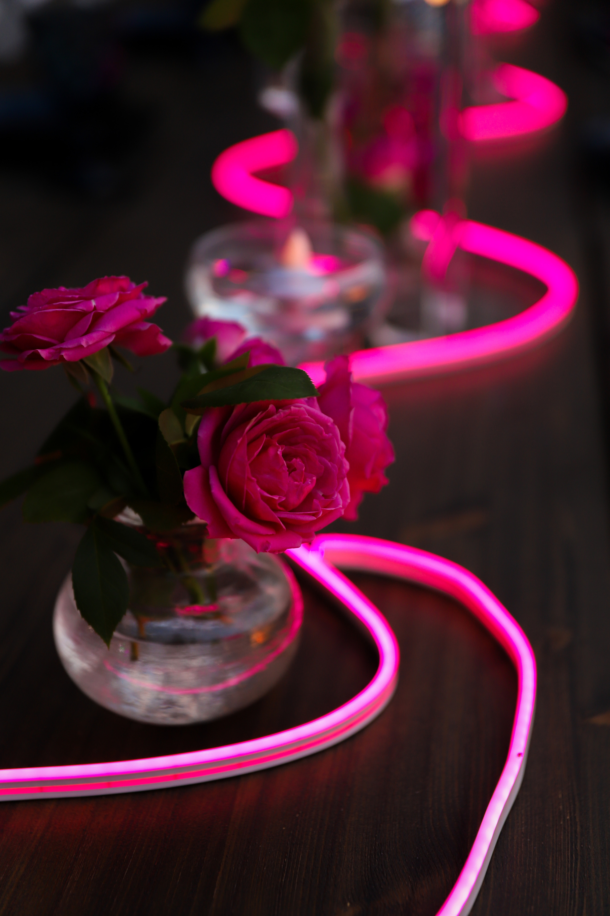 Точка Неба. Фотограф в Краснодаре Анна Светикова