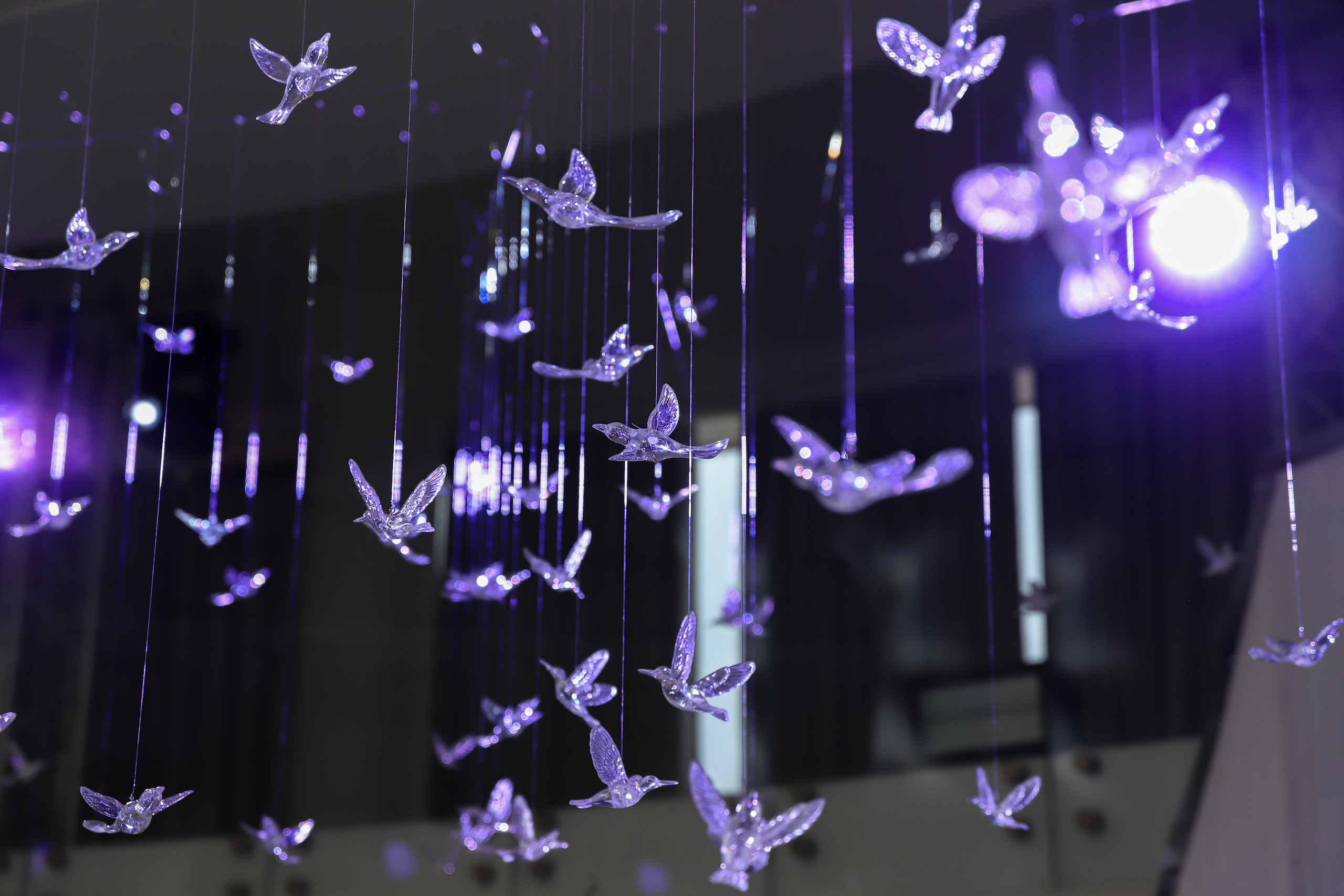 Ривьера. Фотограф в Краснодаре Анна Светикова