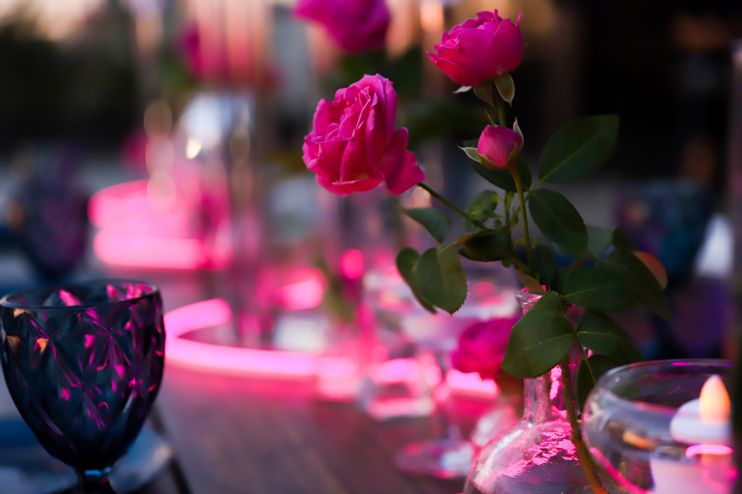 Точка Неба. Фотограф в Краснодаре Анна Светикова