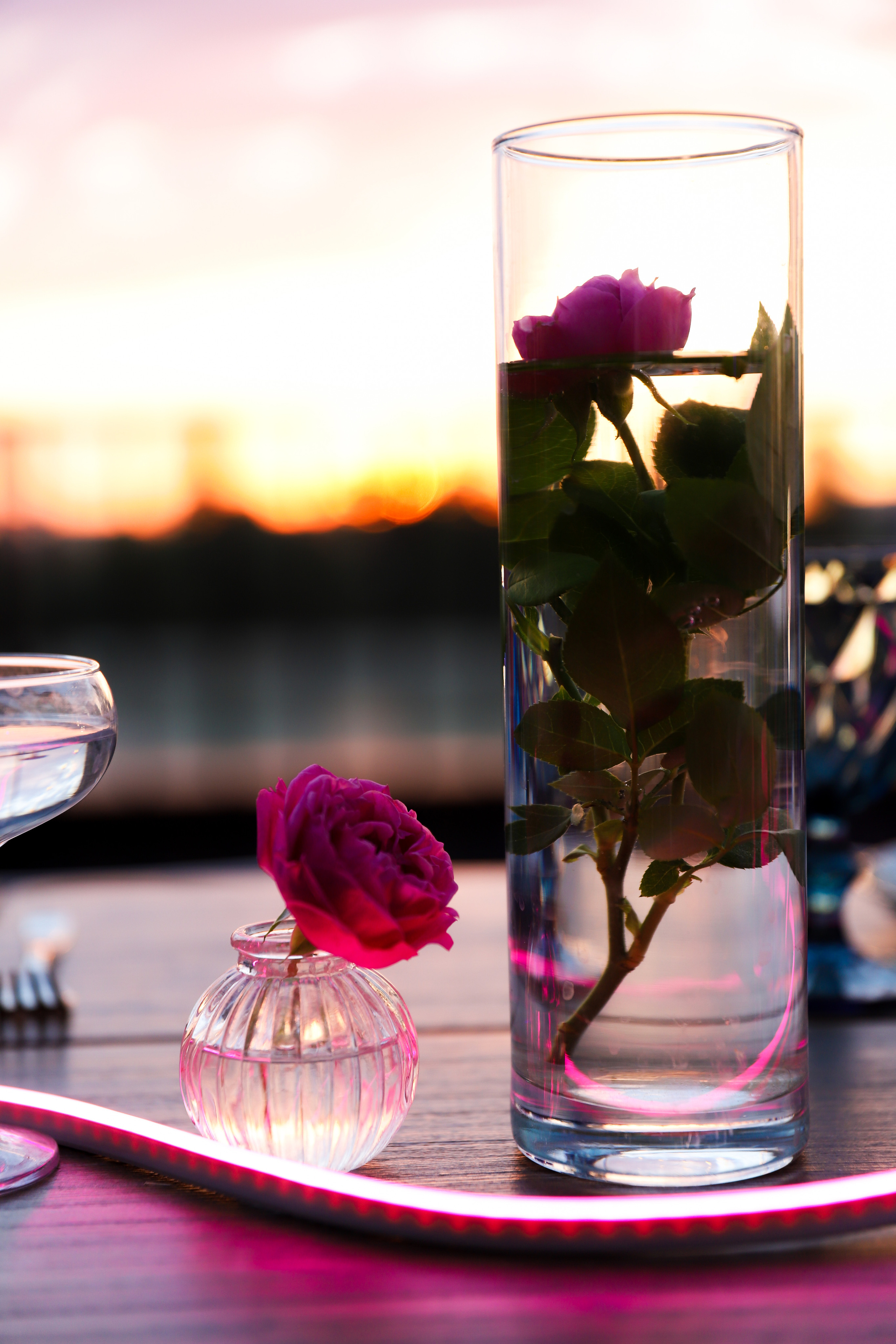 Точка Неба. Фотограф в Краснодаре Анна Светикова