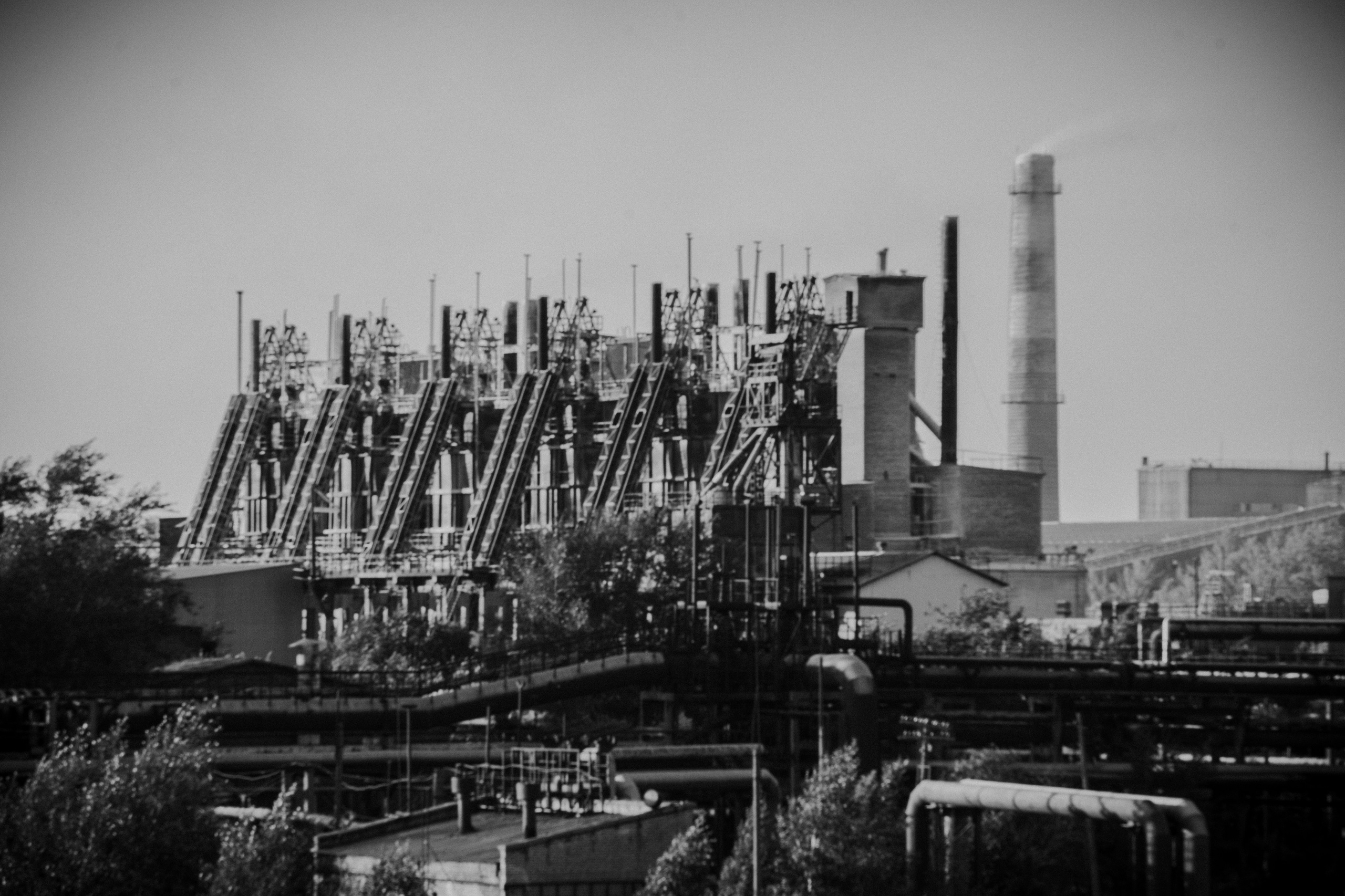 Noir of the Metropolis. Whoii art