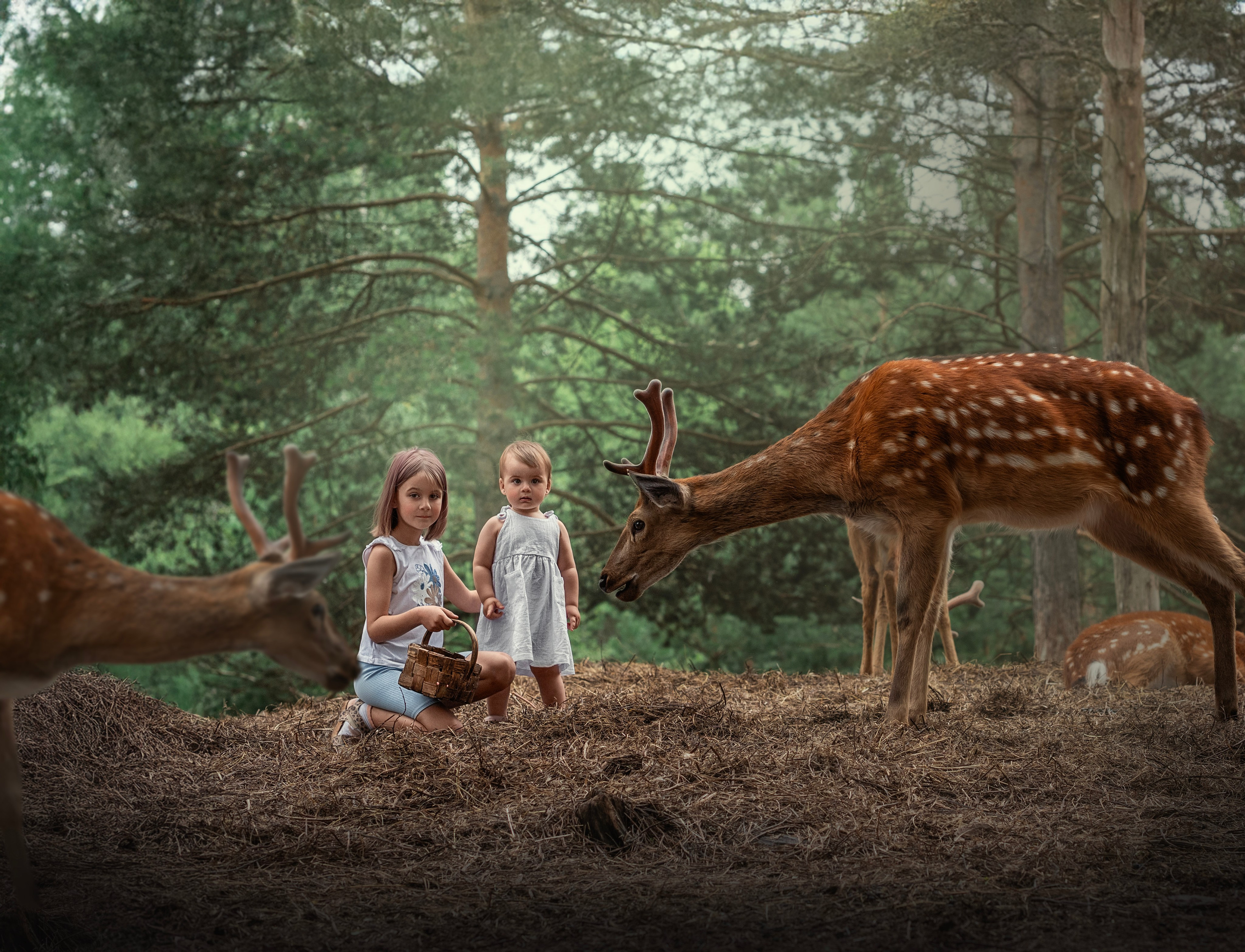 ОЛЕНИ. Семейный фотограф Екатеринбург Лора Мур