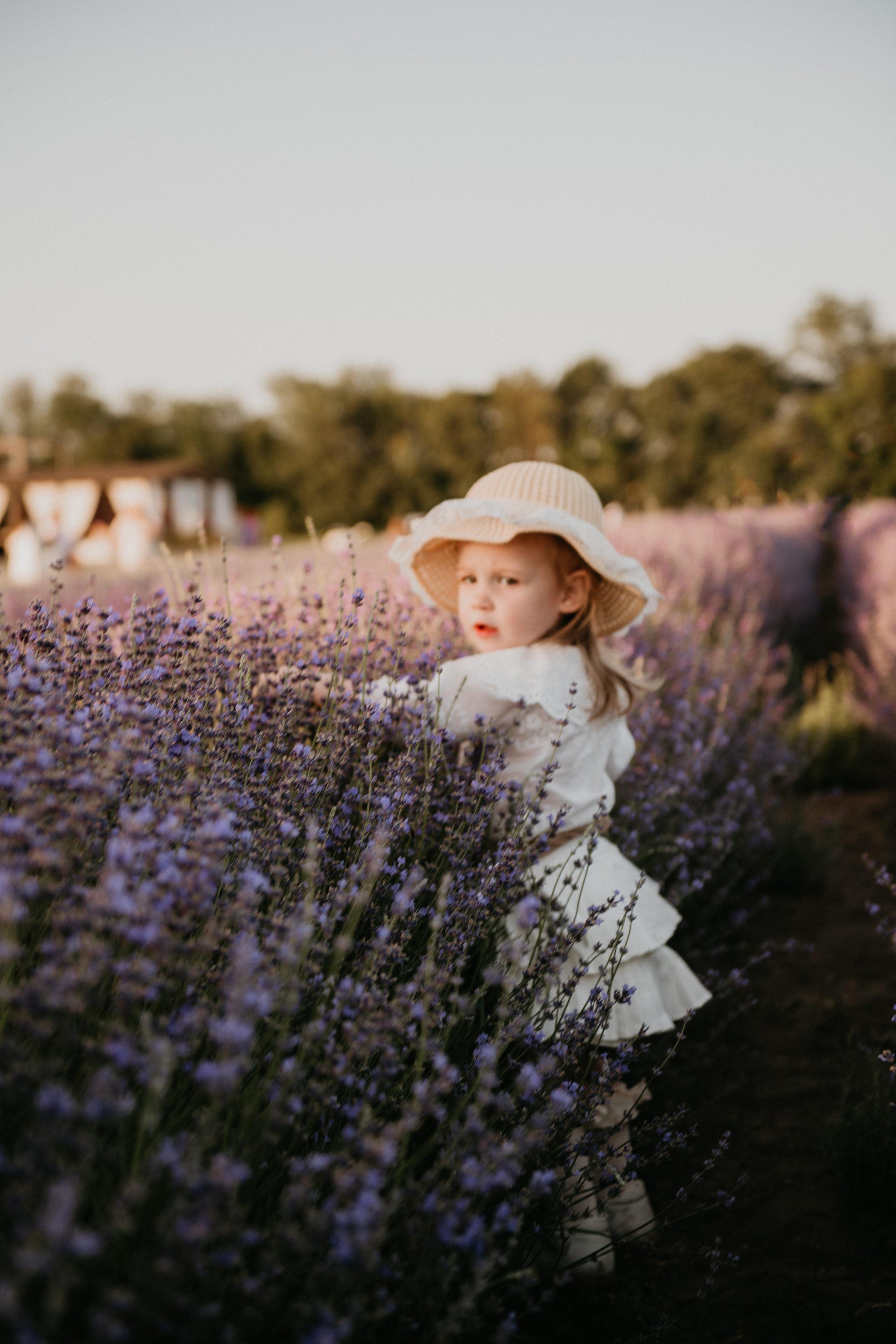 Лавандовая история. Детский и семейный фотограф в Армавире Даша Зубкова
