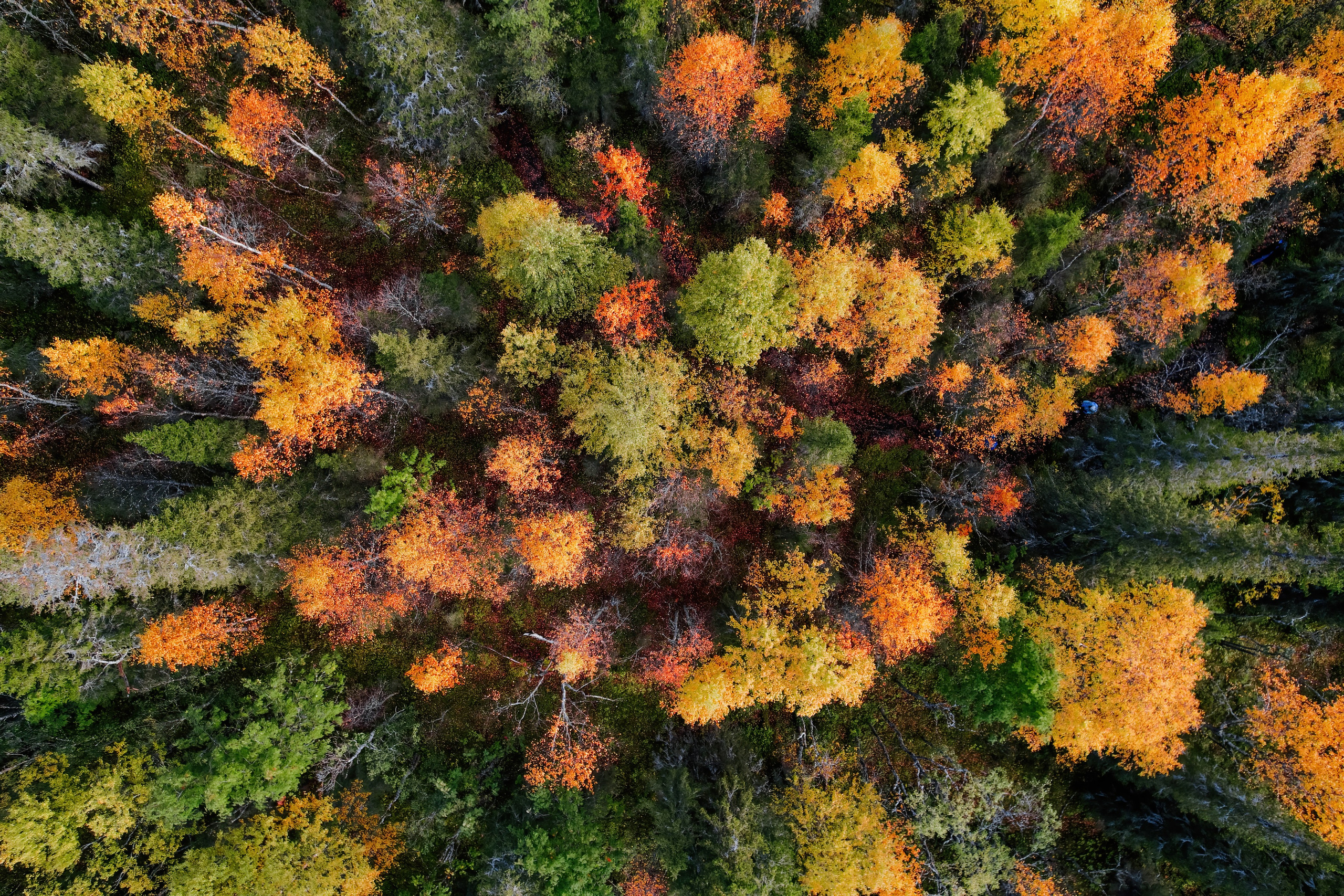 СЕВЕР. Event фотограф Степанова Александра