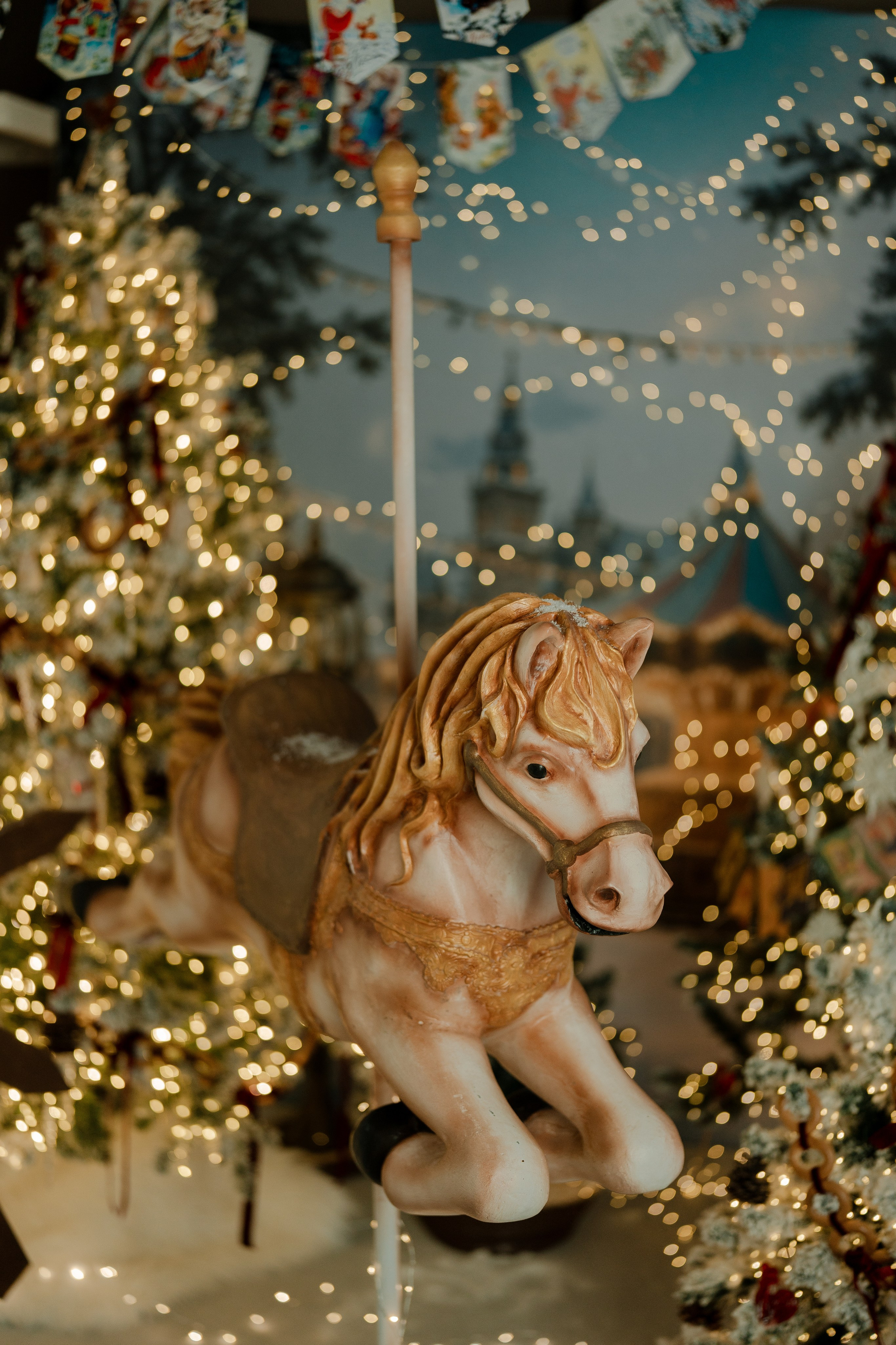 Фотопроекты