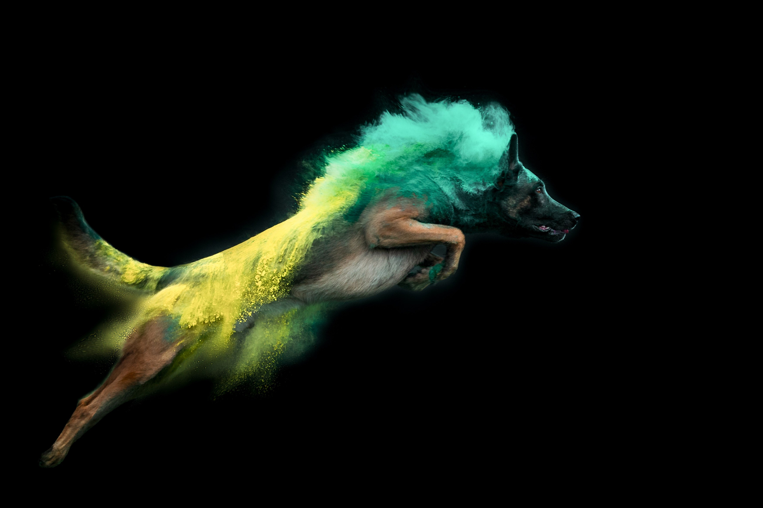 Фотограф-анималист Анастасия Парфенова|Екатеринбург