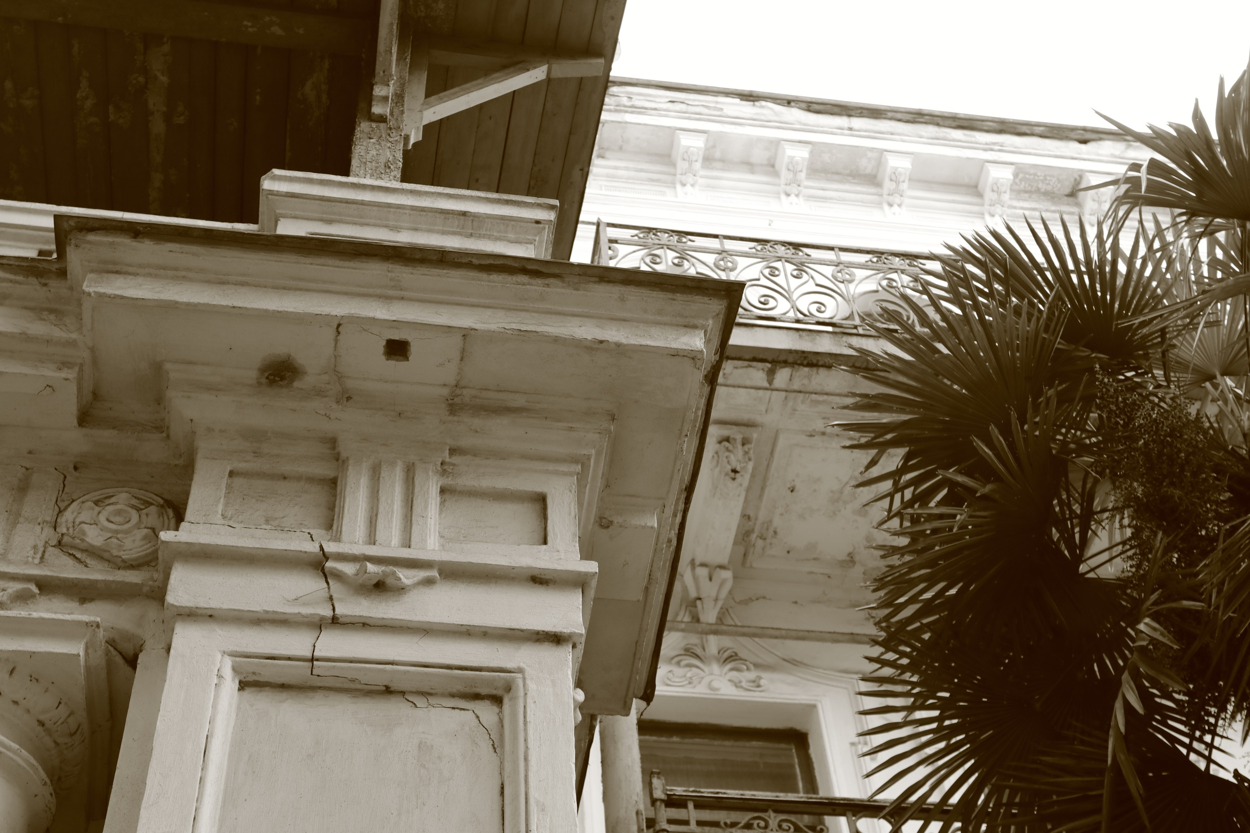 Крым. ЮБК (Севастополь, Кастрополь, Ялта). Май 2023. Путешественник-фотограф из Санкт-Петербурга Татьяна Свистулина