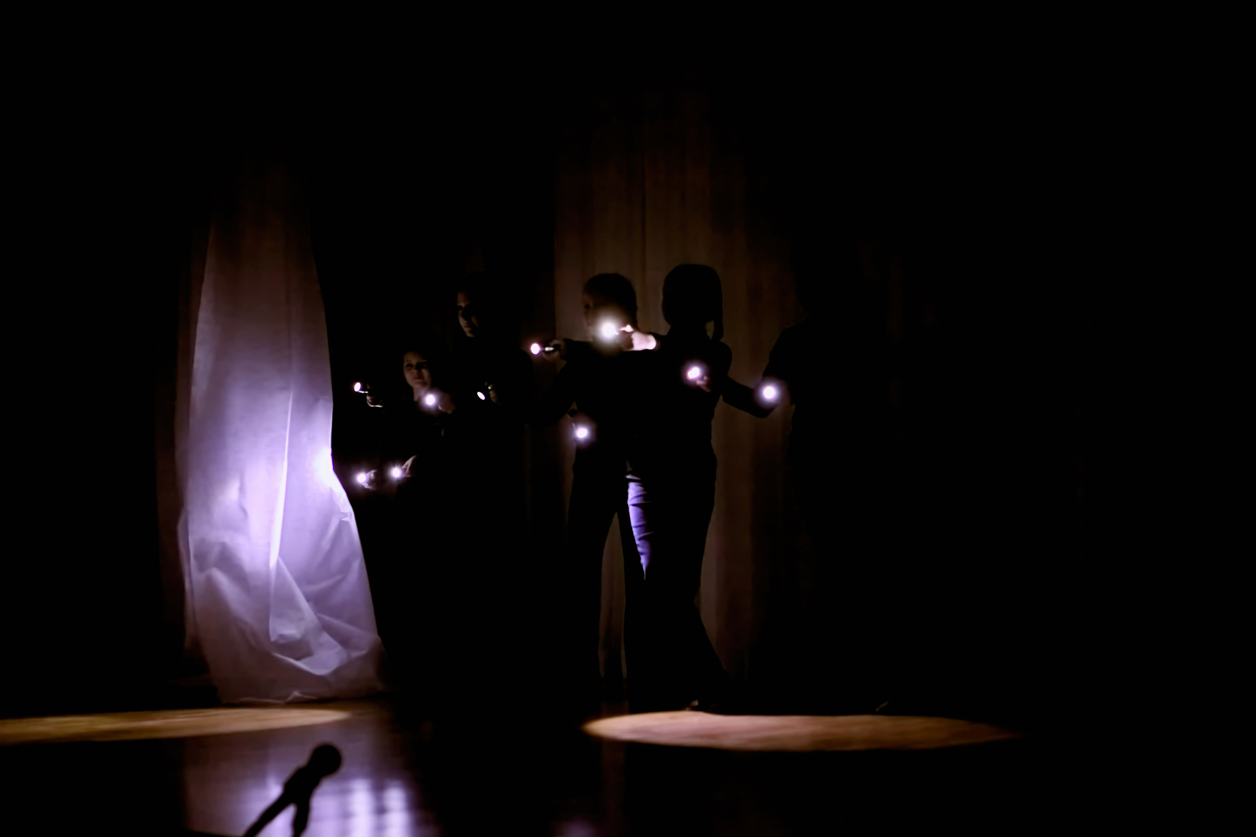 Представление начинается "Маленький Принц"