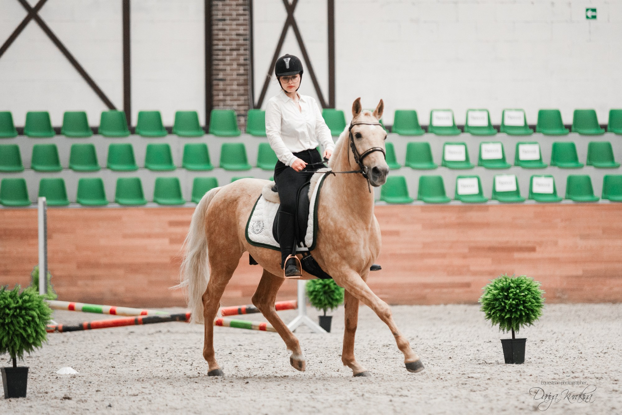 8-я международная выставка Конная Россия. Конный фотограф Куракина Дарья • Фотосессии с лошадьми