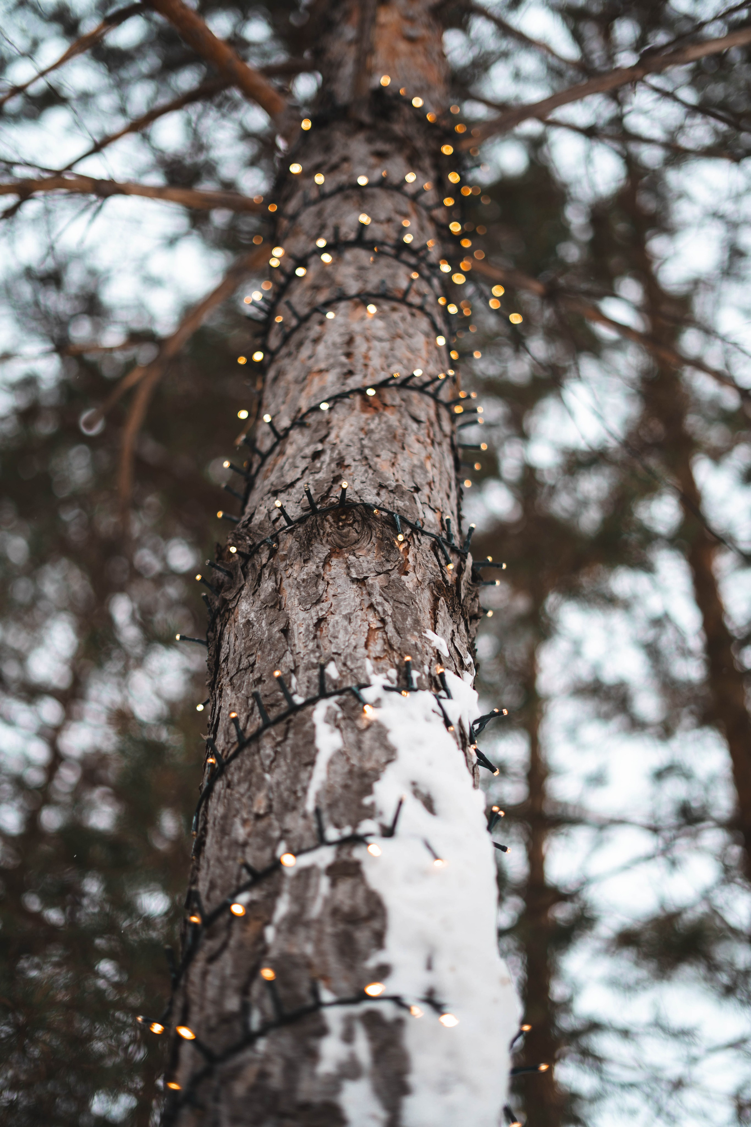 SMM для автосалонов. Магия фото/кино от Tony.REC