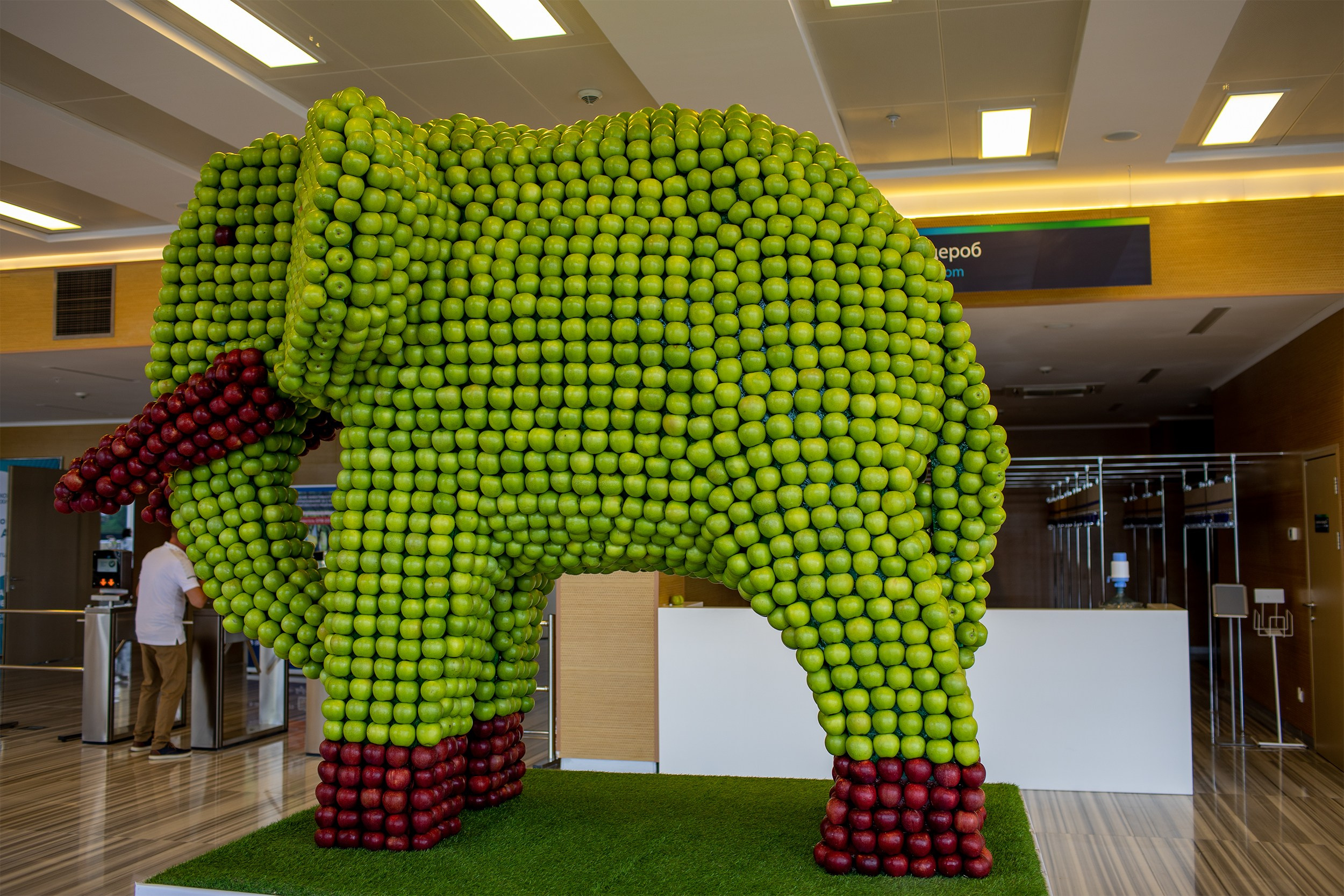 «ЭКСПО Мин Воды» — Pro яблоко. Медиапродюсер, фотограф в Минеральных Водах —Виктор Холодов