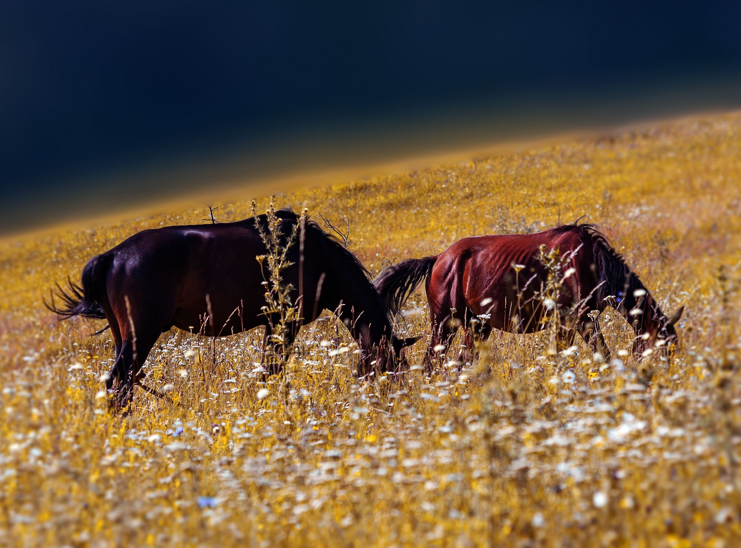 Велопутешествие на смотровую площадку в г. Кисловодск. Медиапродюсер, фотограф в Минеральных Водах —Виктор Холодов