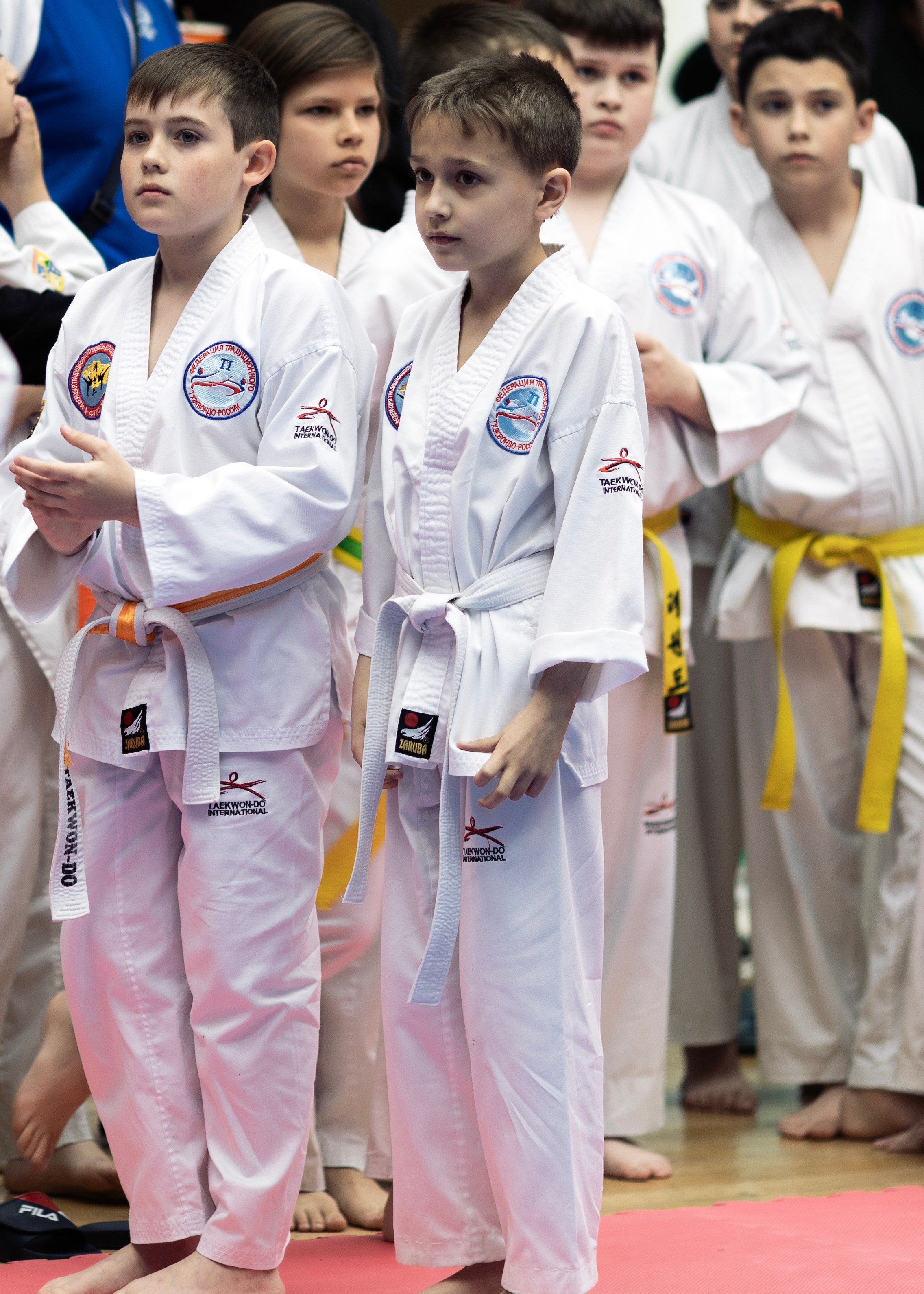 Фото турнира по Тхеквондо, проводимого в г. Железноводске. Медиапродюсер, фотограф в Минеральных Водах —Виктор Холодов