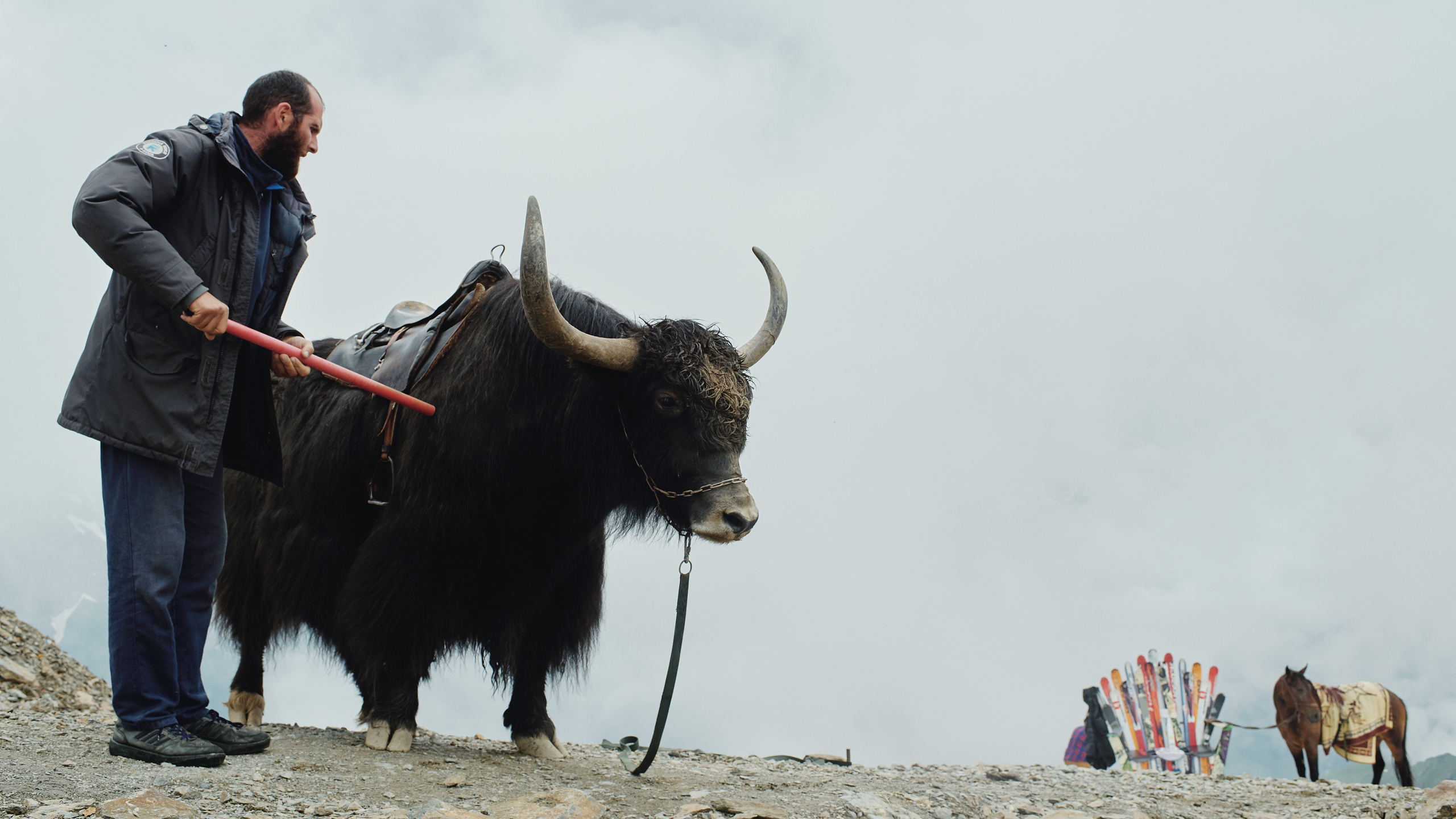 Карачаево-Черкессия, Домбай