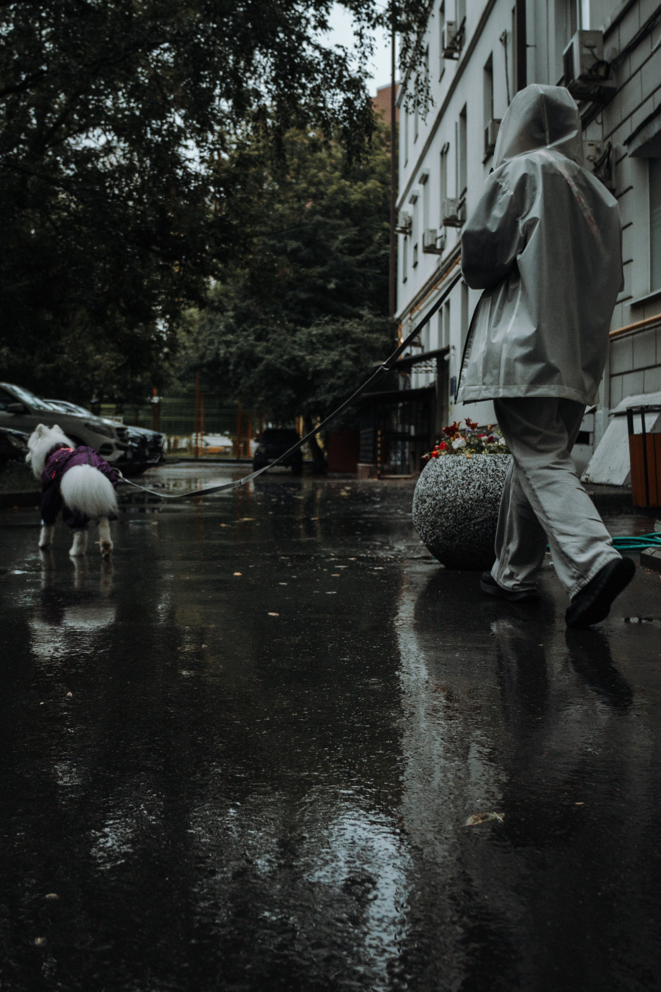 Домашняя фотосессия девушки с собакой и пара фото в дождливый день. Фотограф-анималист в Москве Екатерина Тихонова