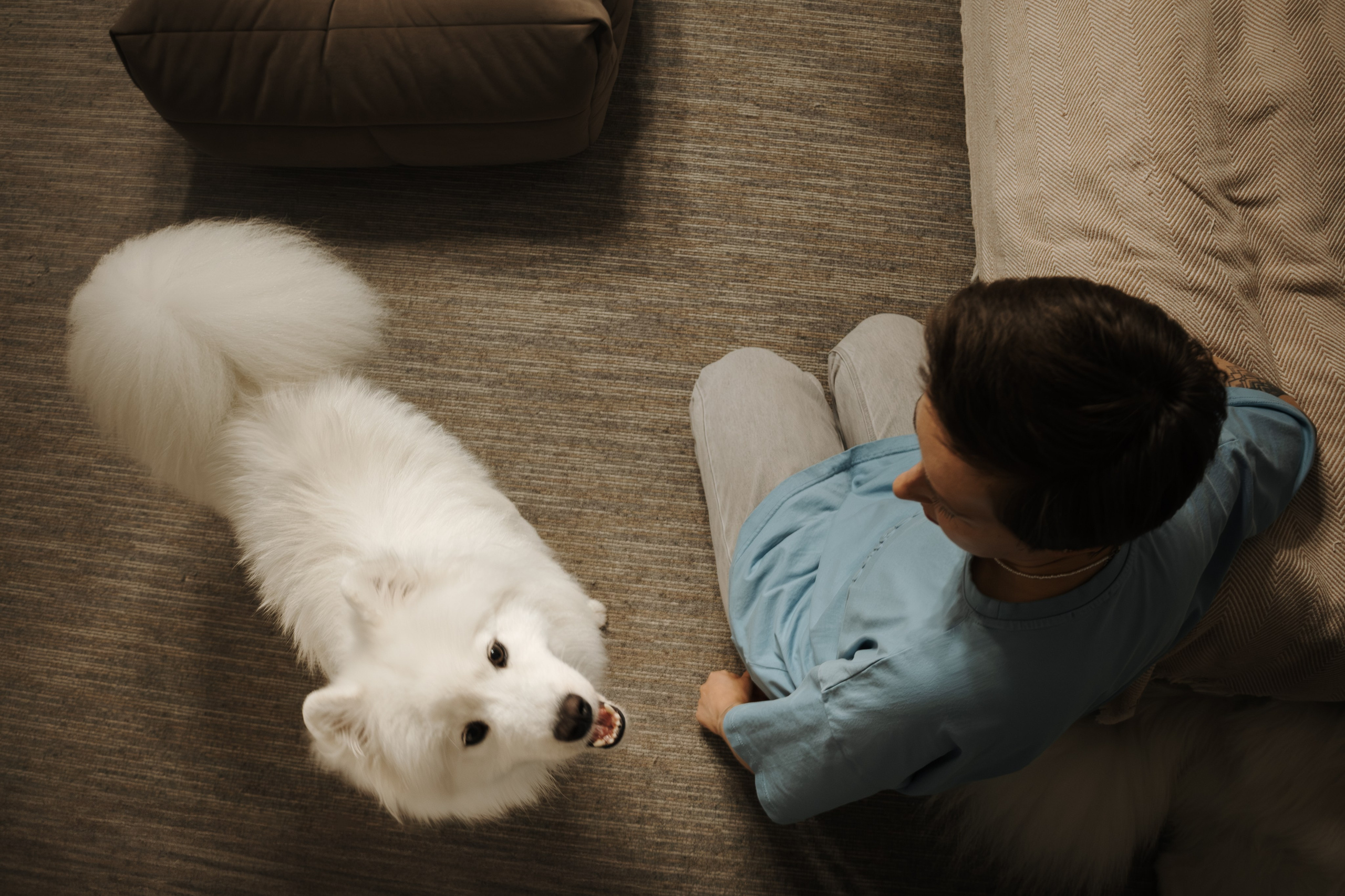 Домашняя фотосессия девушки с собакой и пара фото в дождливый день. Фотограф-анималист в Москве Екатерина Тихонова