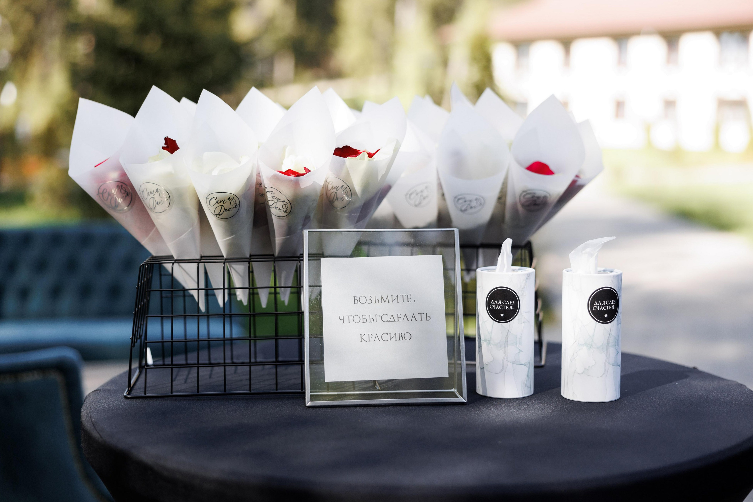 Даня + Саша. Свадебный фотограф в Смоленске Витя Лысенков