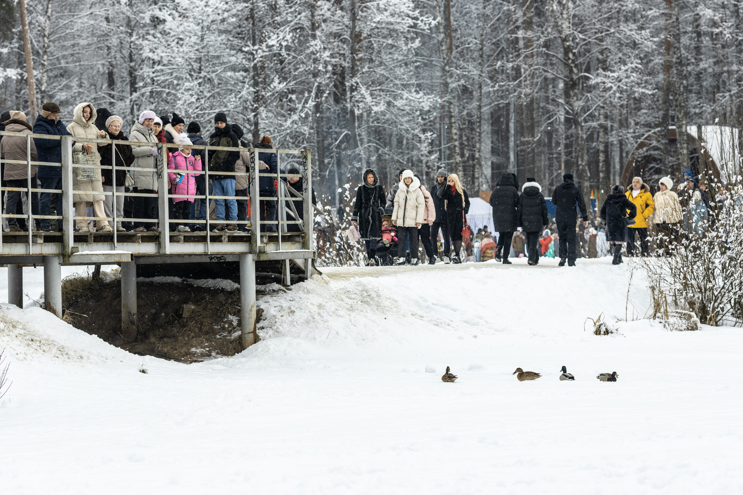 Фотосессия мероприятия Масленица. Портретный фотограф в Костроме Наталия Клевинскас