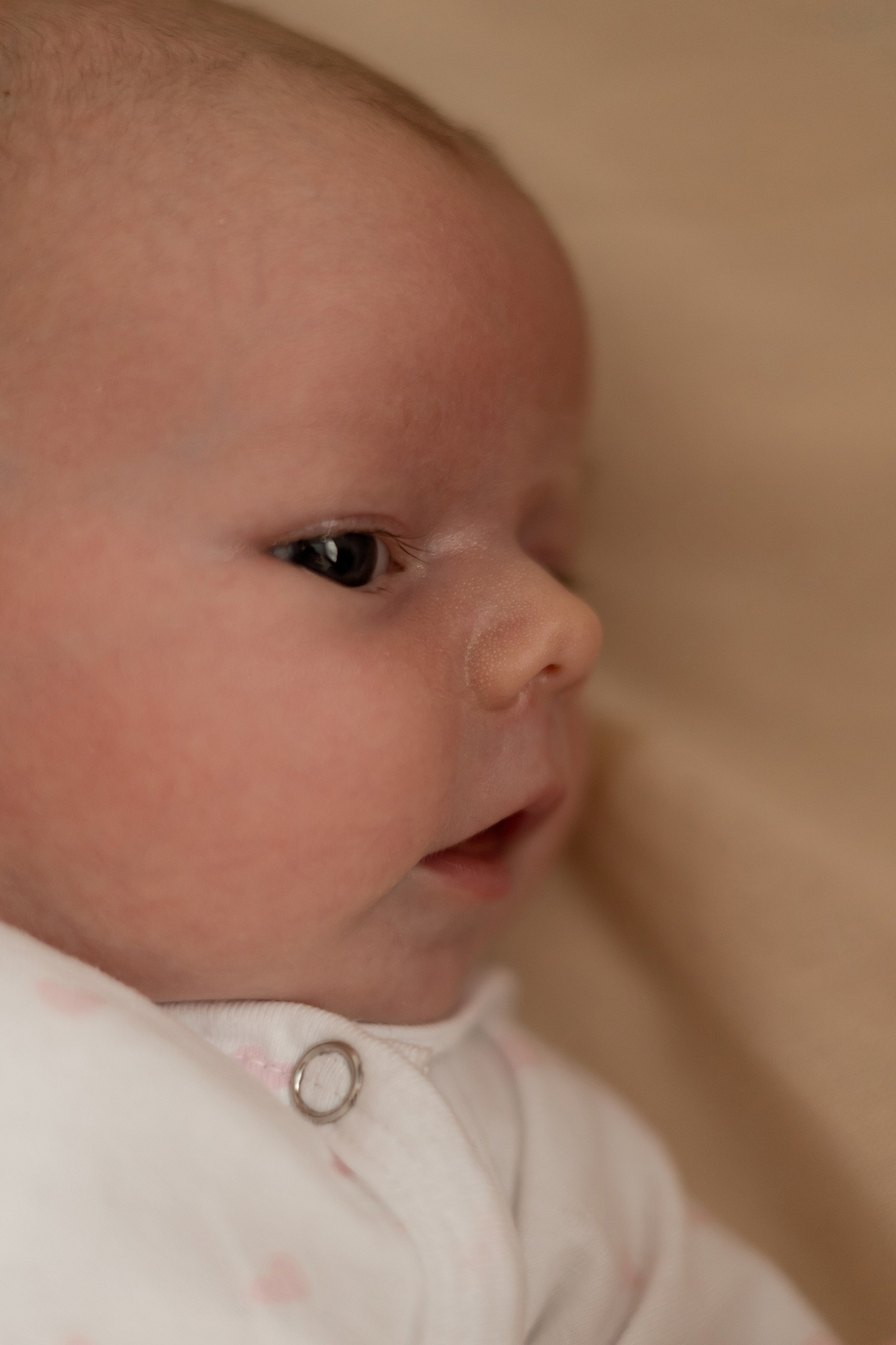 Полина, Коля и Саша. Свадебный фотограф в Пскове и Санкт-Петербурге | Анна Голикова