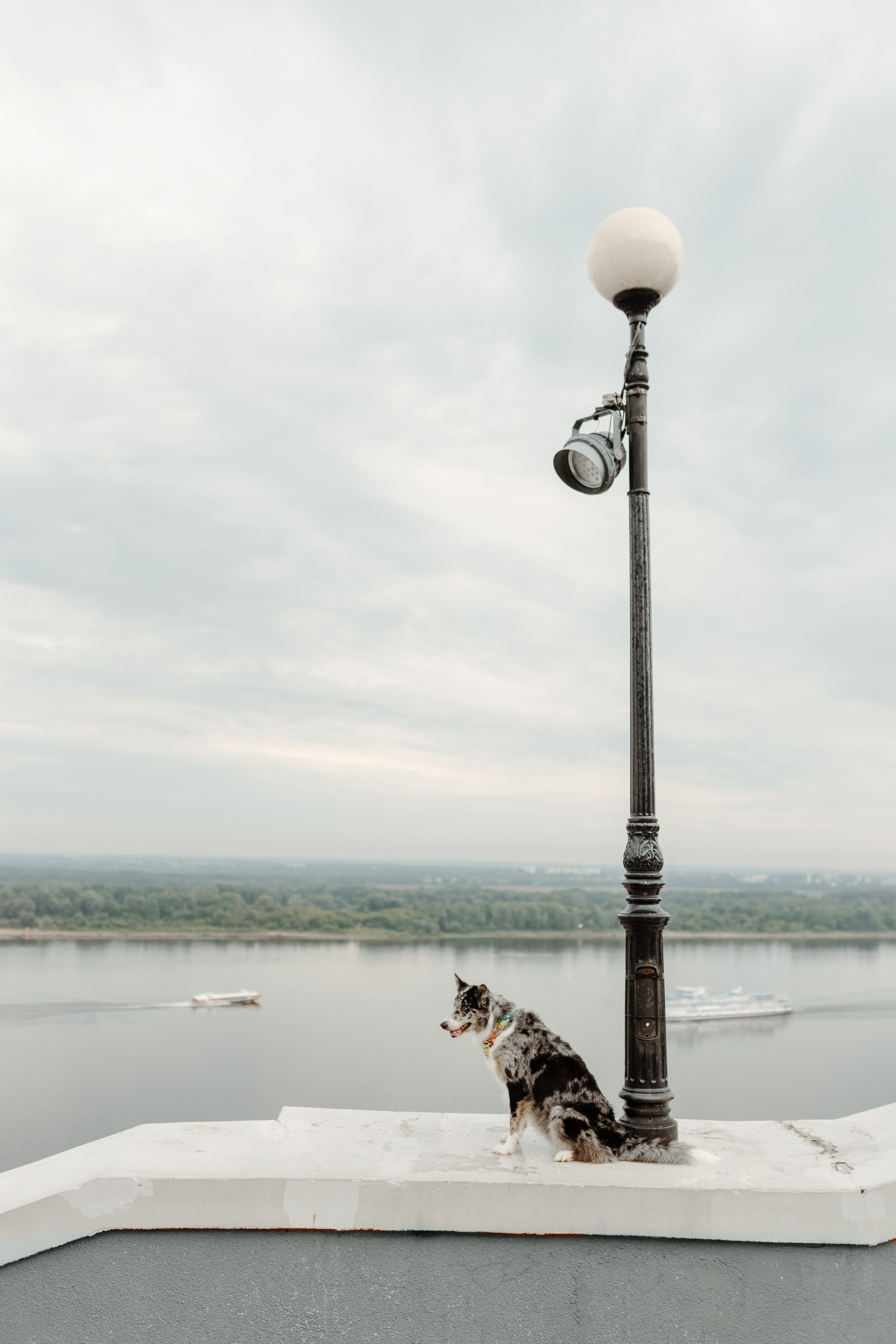 Нижний Новгород / Таня, Ежевика и Кася. Фотограф Кузина Вера