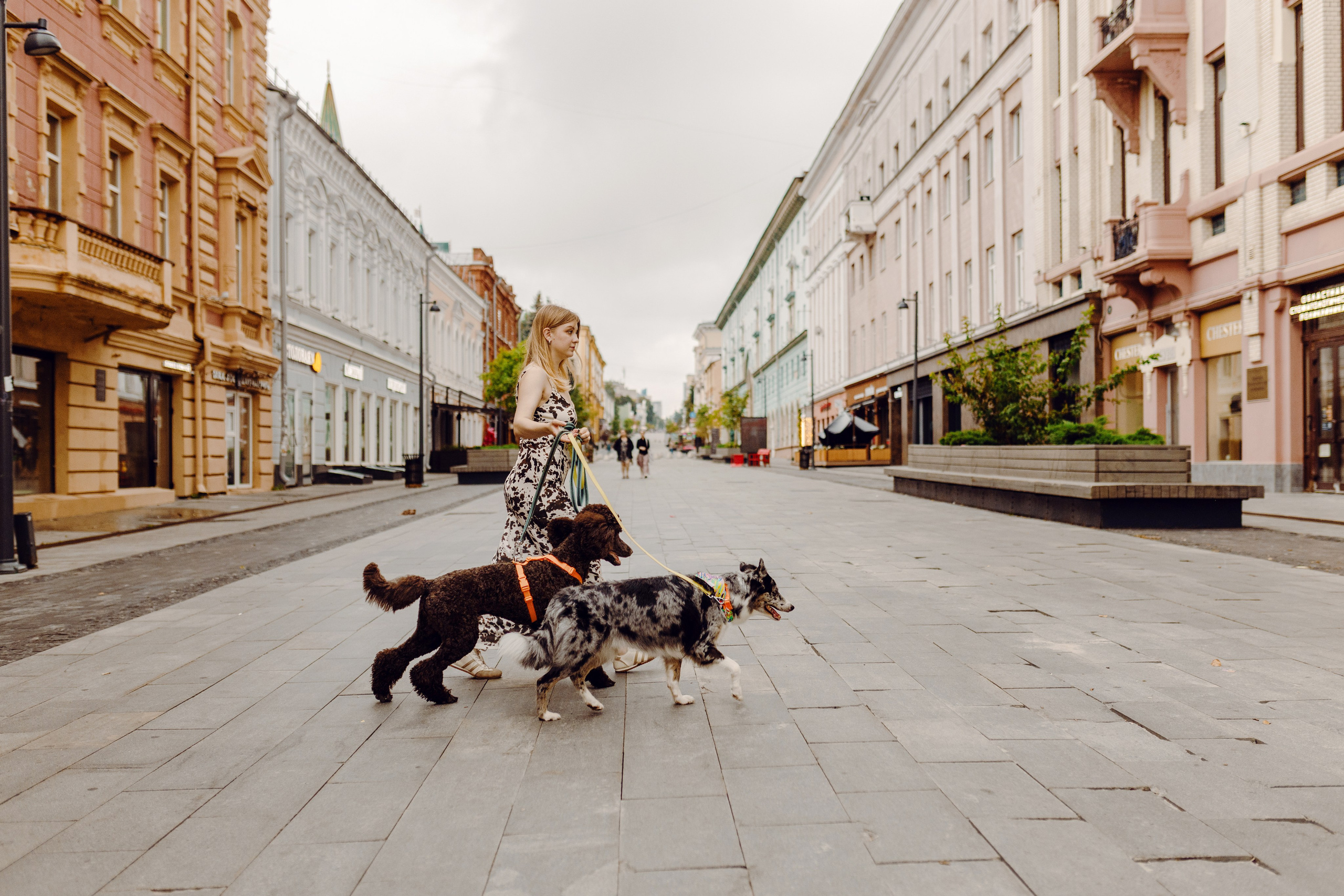 Нижний Новгород / Таня, Ежевика и Кася. Фотограф Кузина Вера