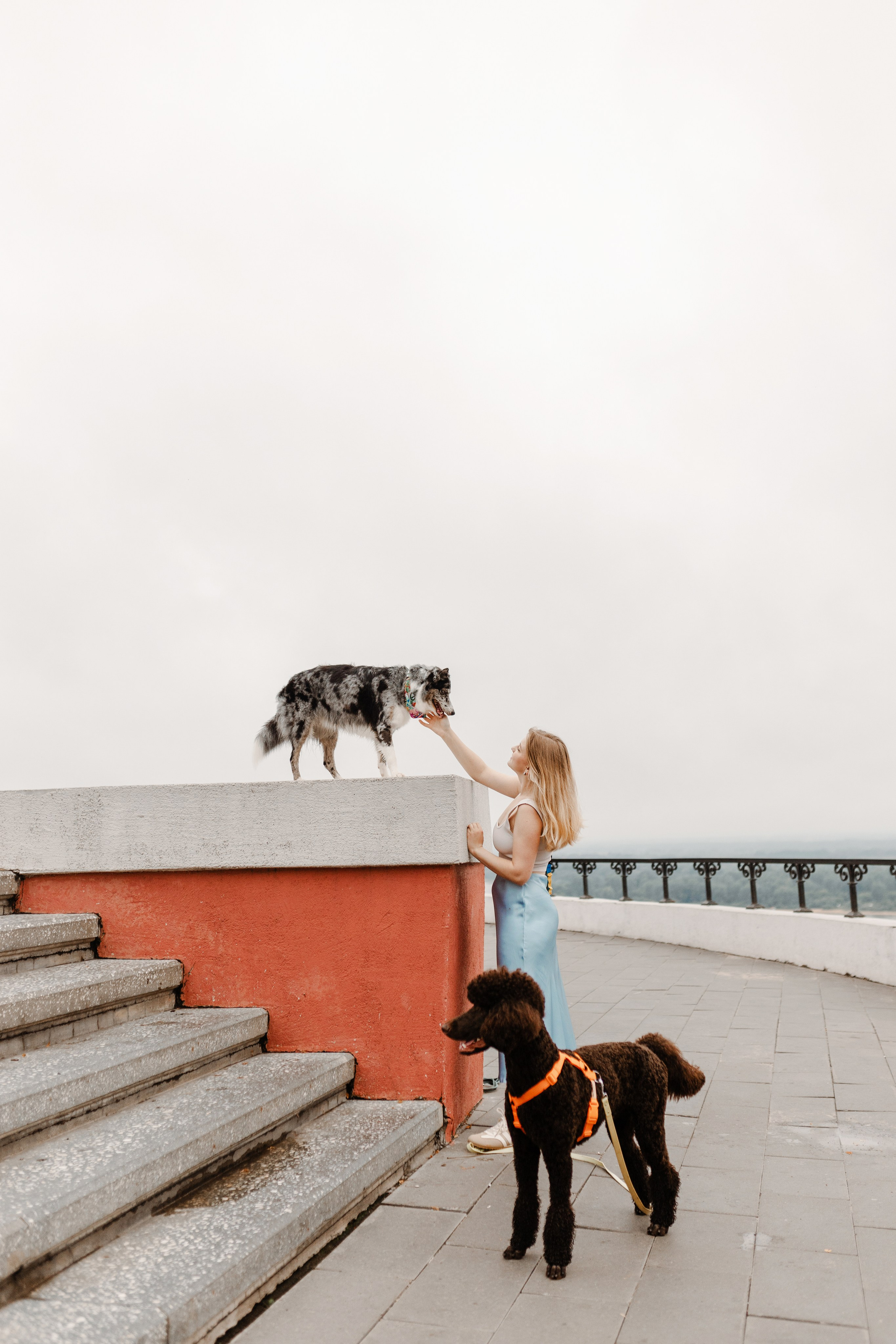 Нижний Новгород / Таня, Ежевика и Кася. Фотограф Кузина Вера