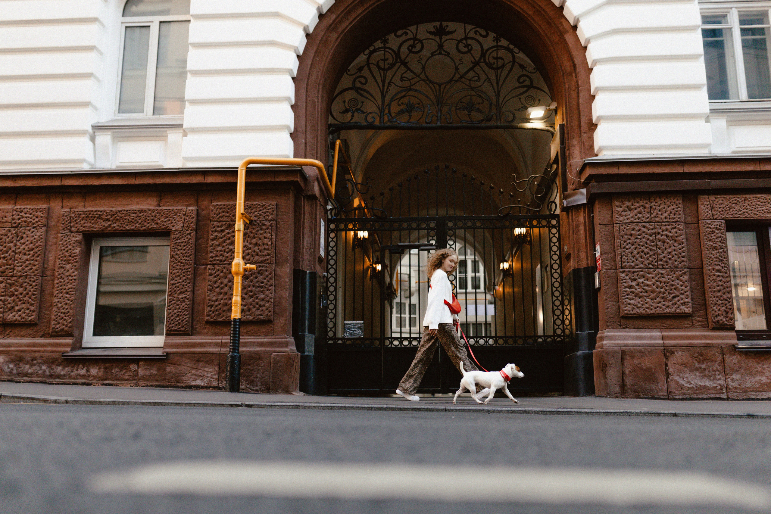 Москва / Юля и Клео. Фотограф Кузина Вера