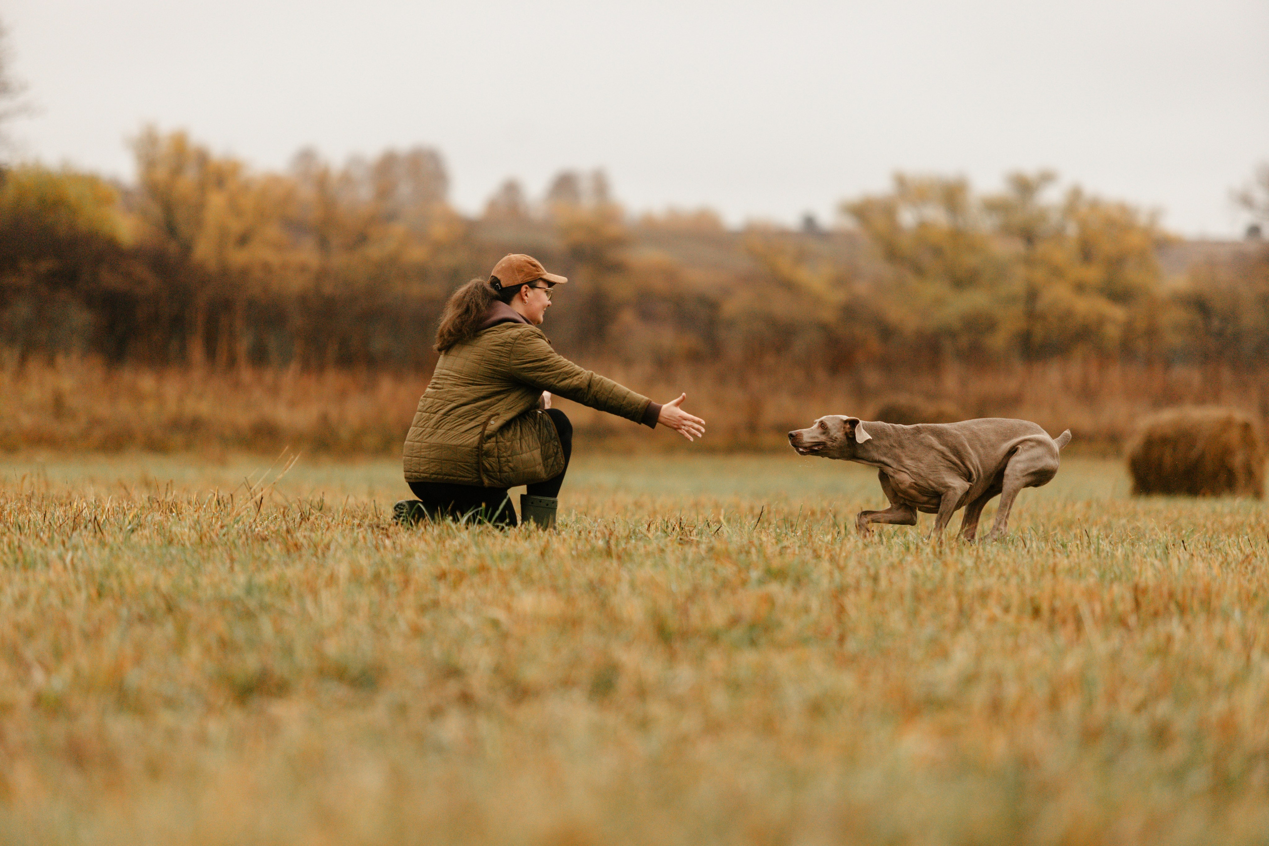 DOGCAMP / Валерия и Верс. Фотограф Кузина Вера