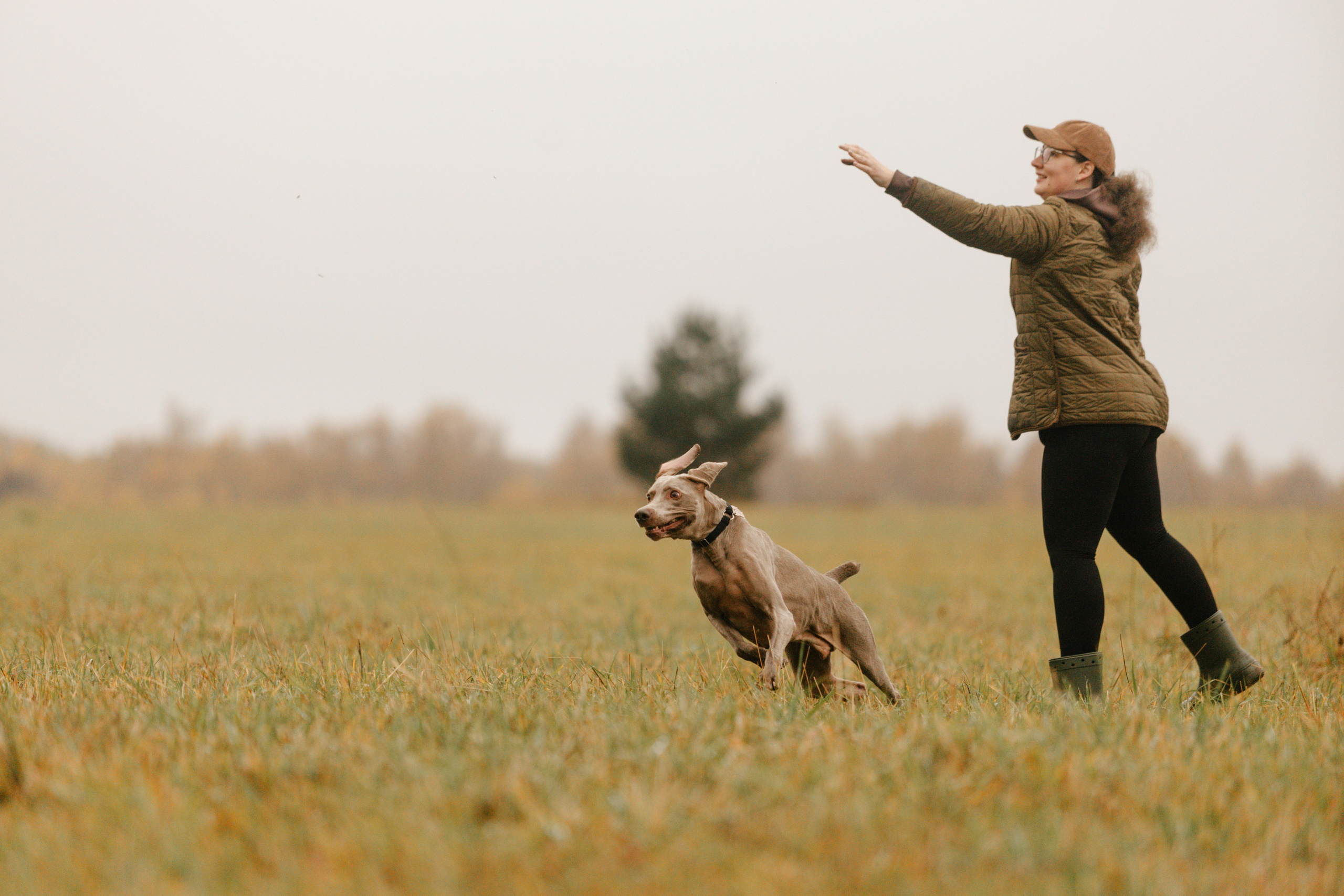 DOGCAMP / Валерия и Верс. Фотограф Кузина Вера