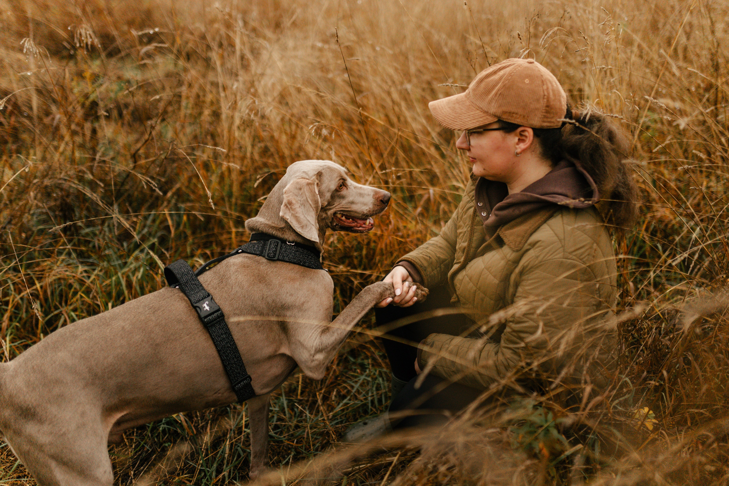 DOGCAMP / Валерия и Верс. Фотограф Кузина Вера