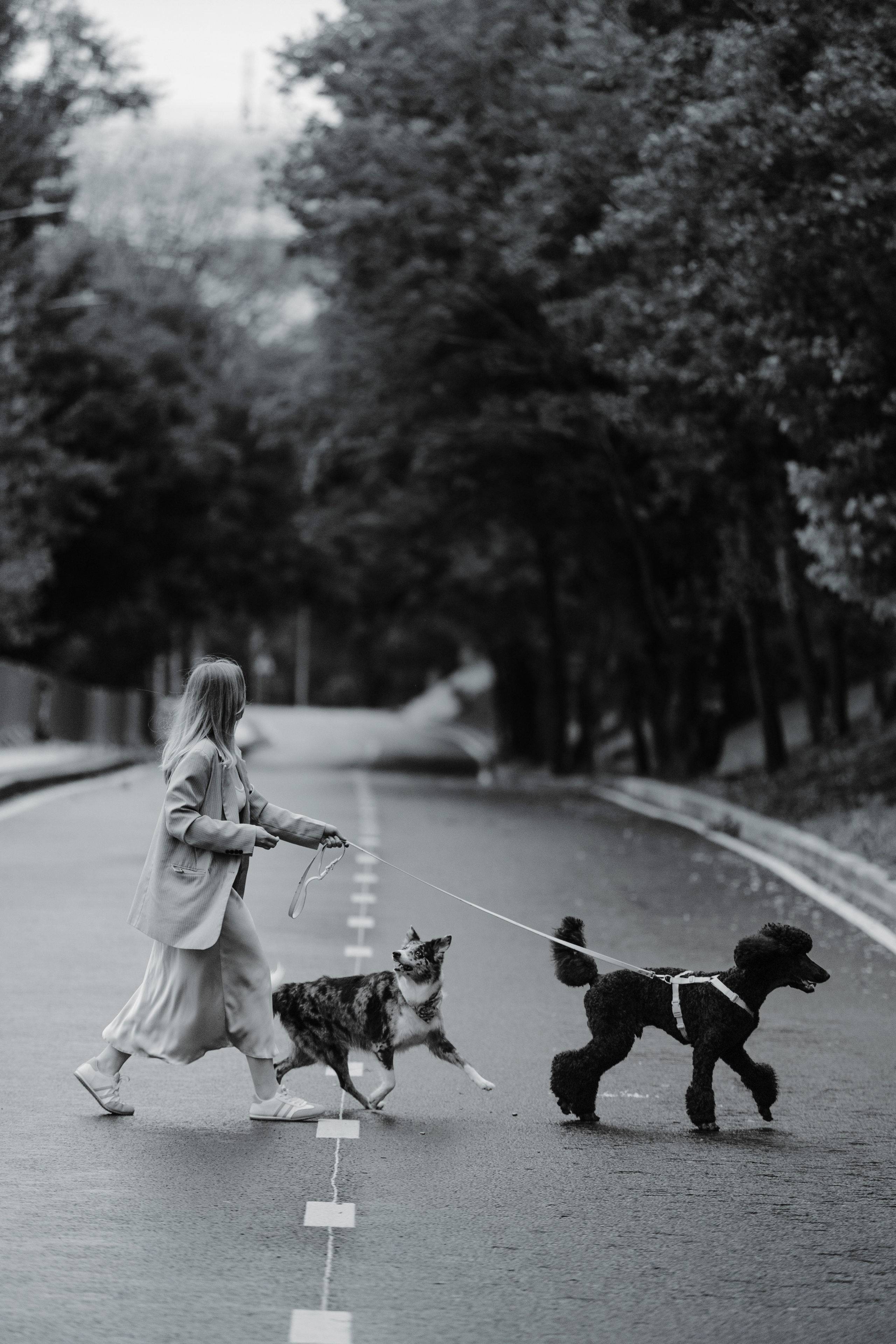 Нижний Новгород / Таня, Ежевика и Кася. Фотограф Кузина Вера