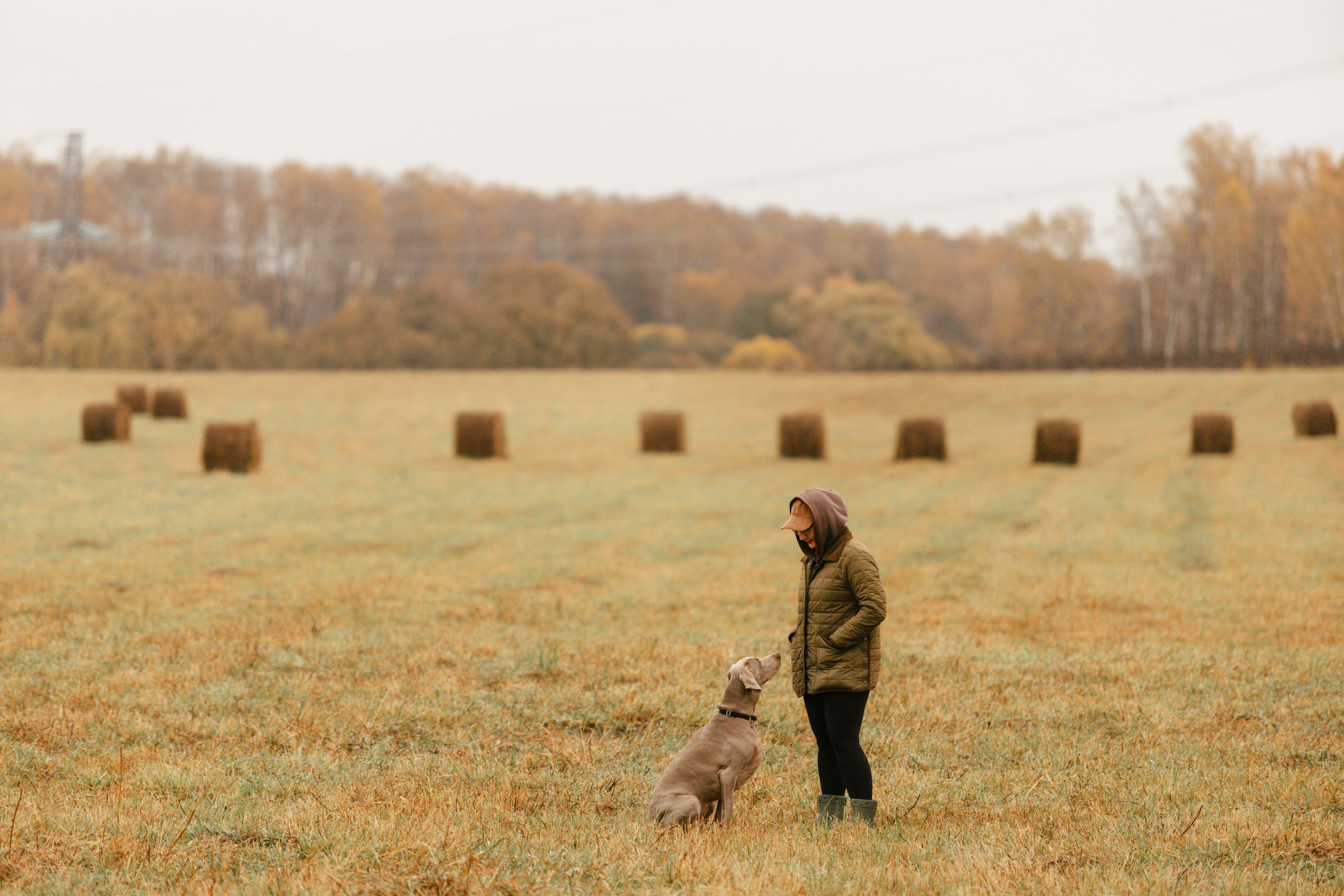 DOGCAMP / Валерия и Верс. Фотограф Кузина Вера