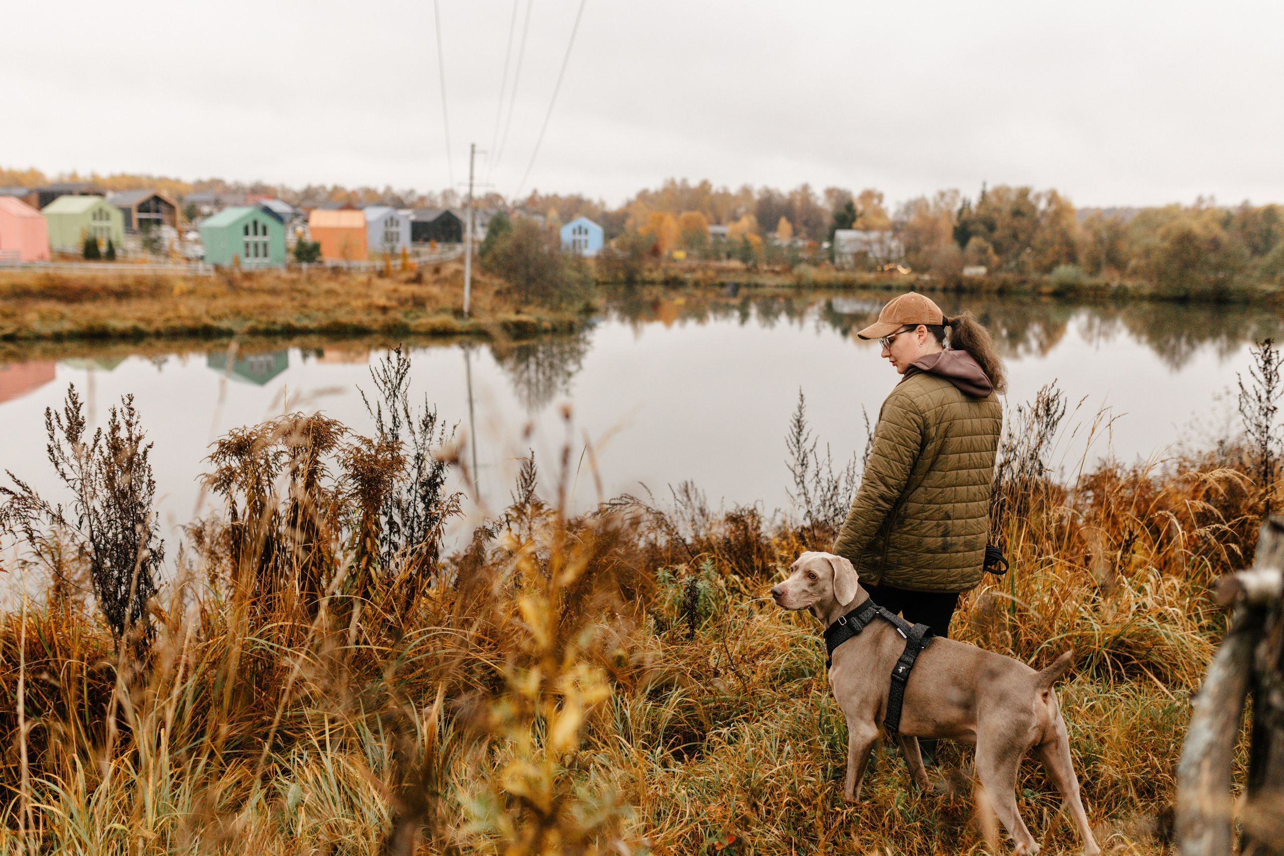 DOGCAMP / Валерия и Верс. Фотограф Кузина Вера