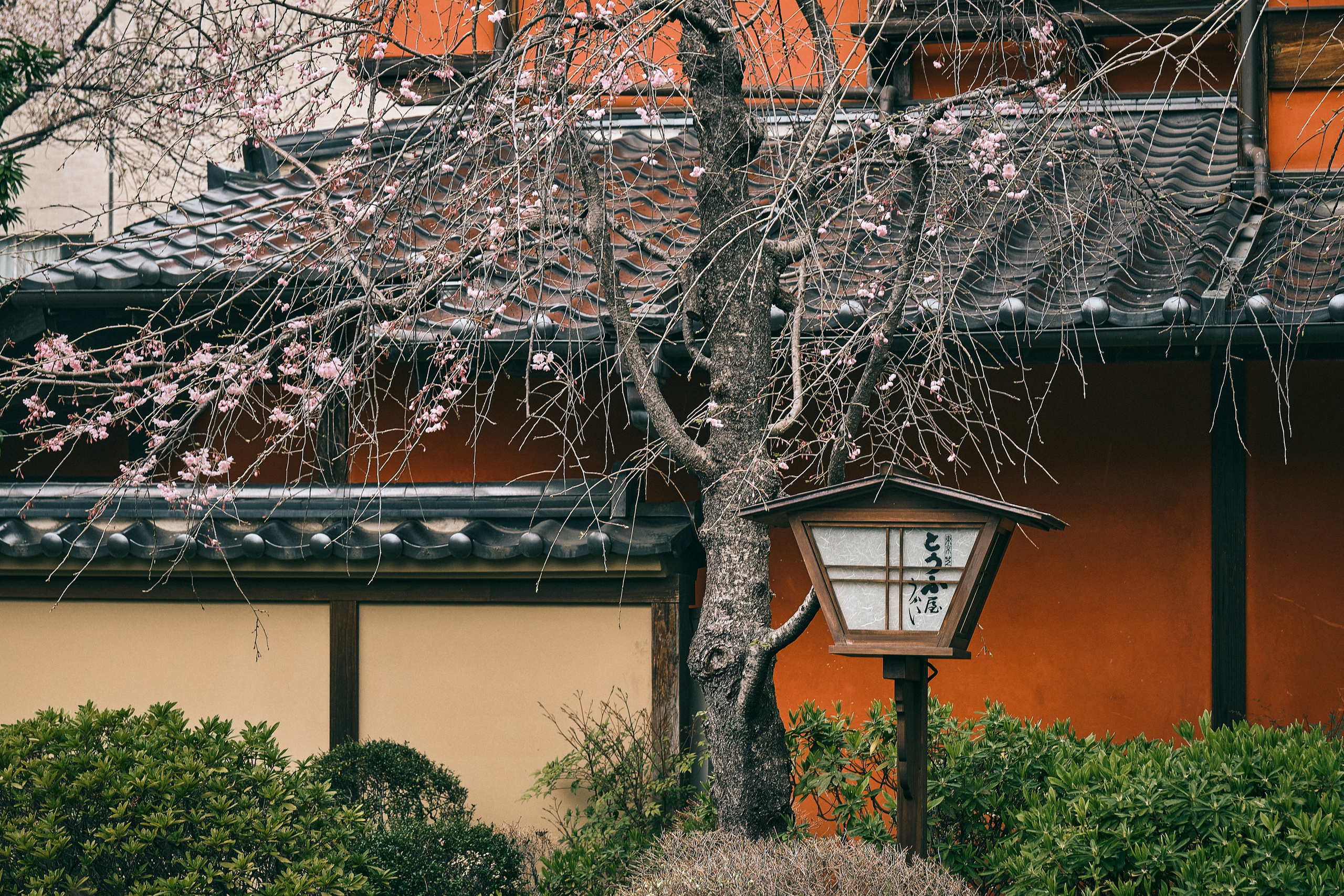 Japan / Osaka≫Kyoto≫Tokyo. Aleksandr Kobtsev