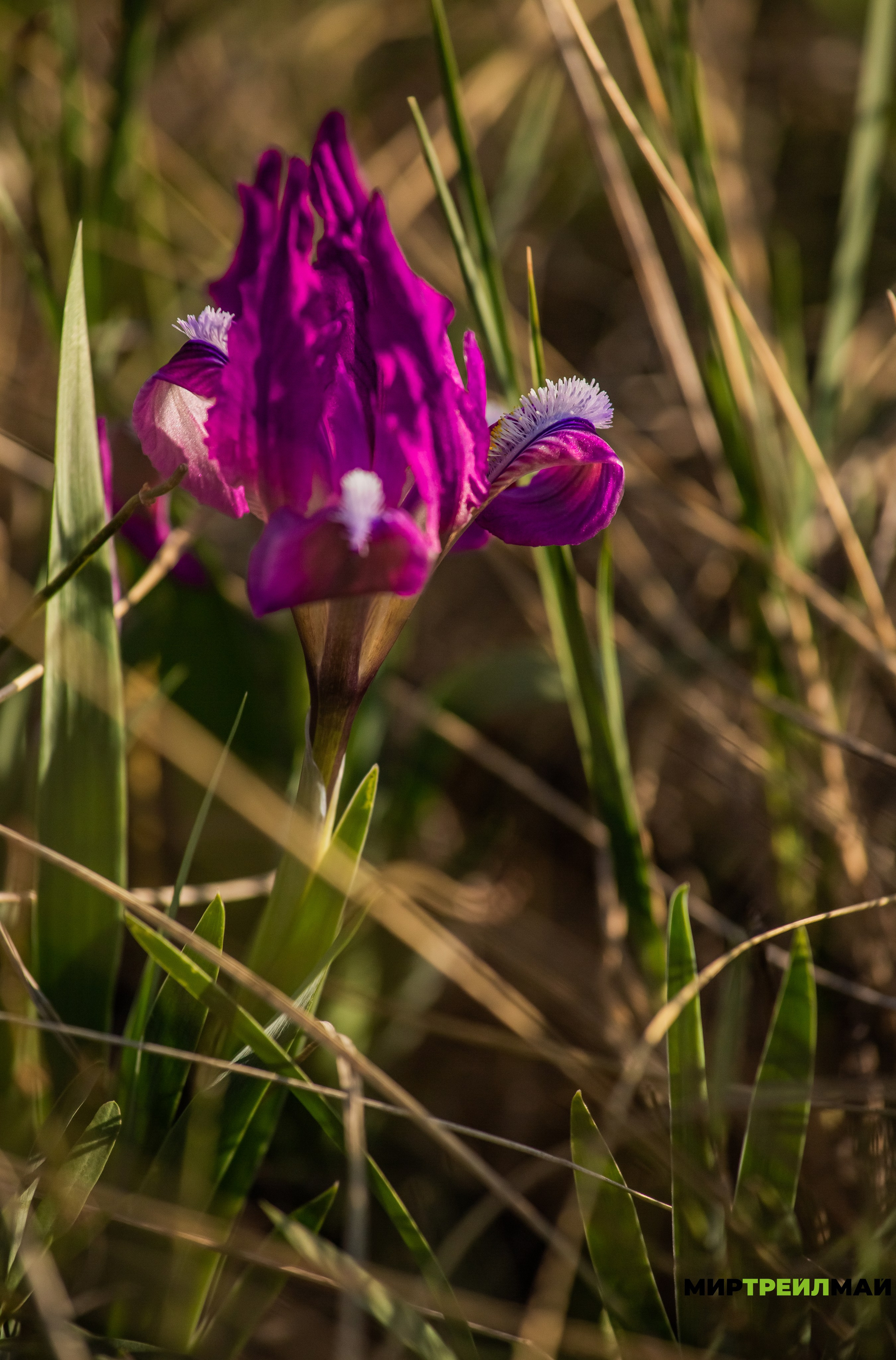 Южный Урал. Авторские туры с профессиональным фотографом