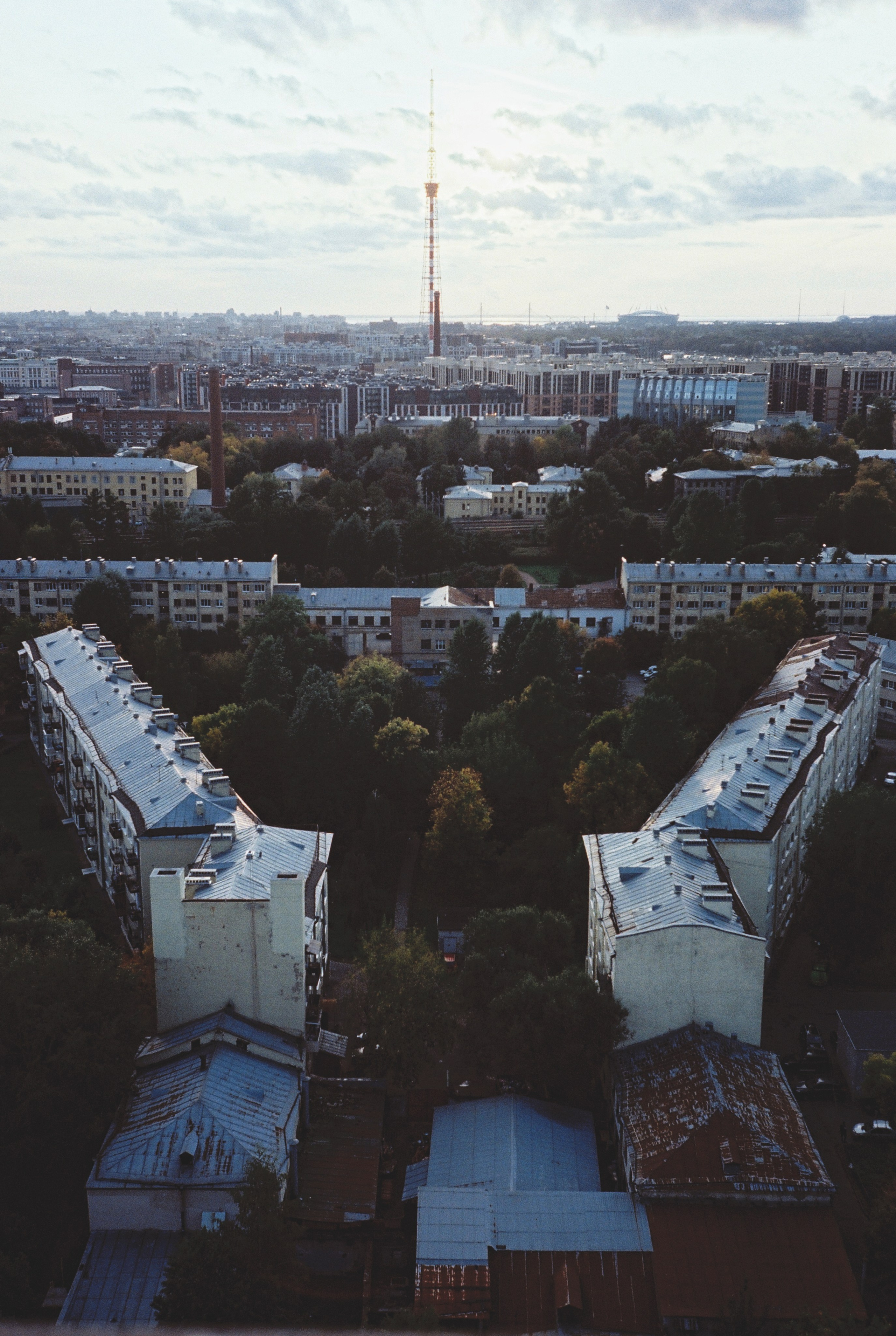 Фотографии цветные. Свадебный и семейный пленочный фотограф в Петербурге Истомина Ирина