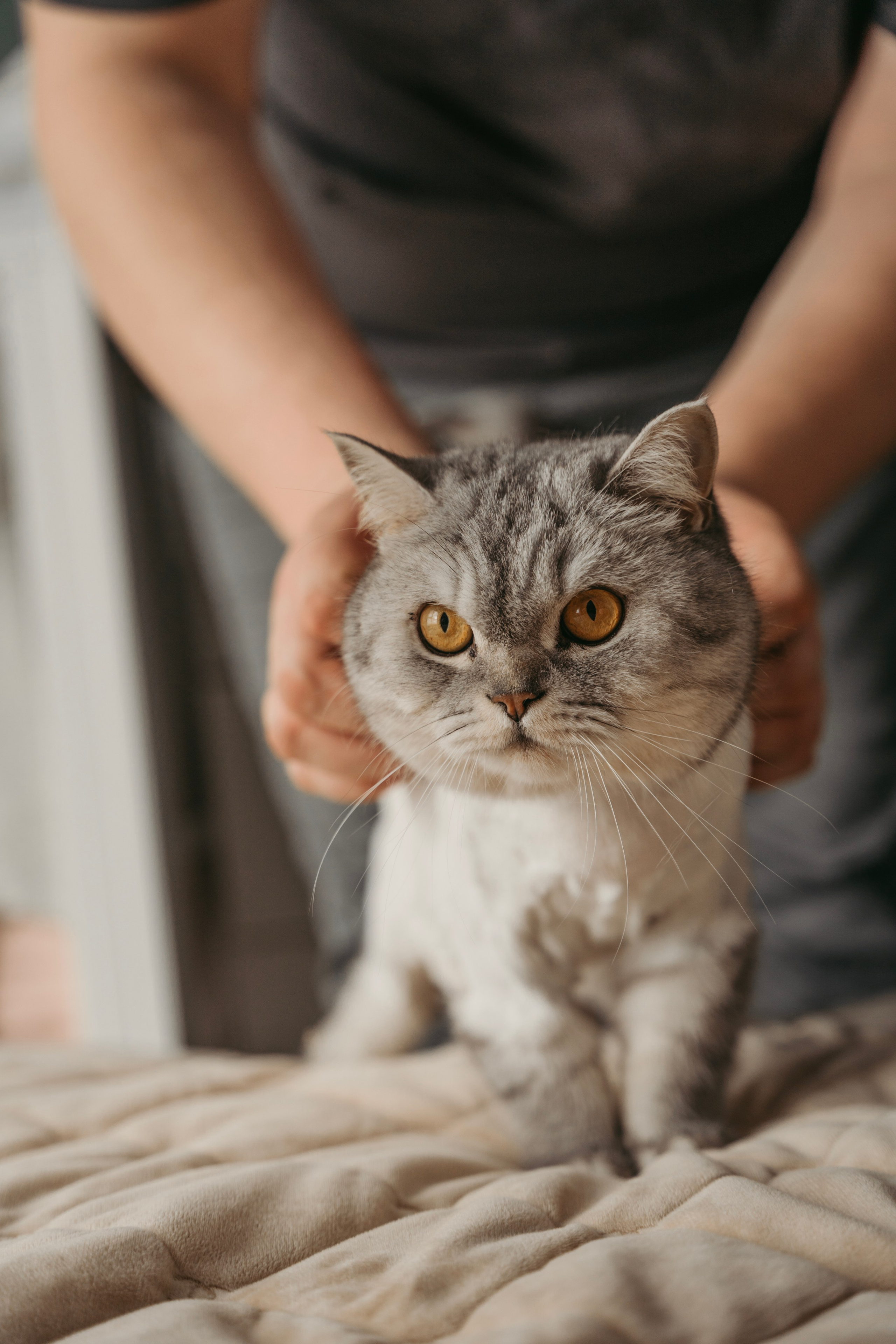 Дома. Фотограф Волгоград Ксения Устинова