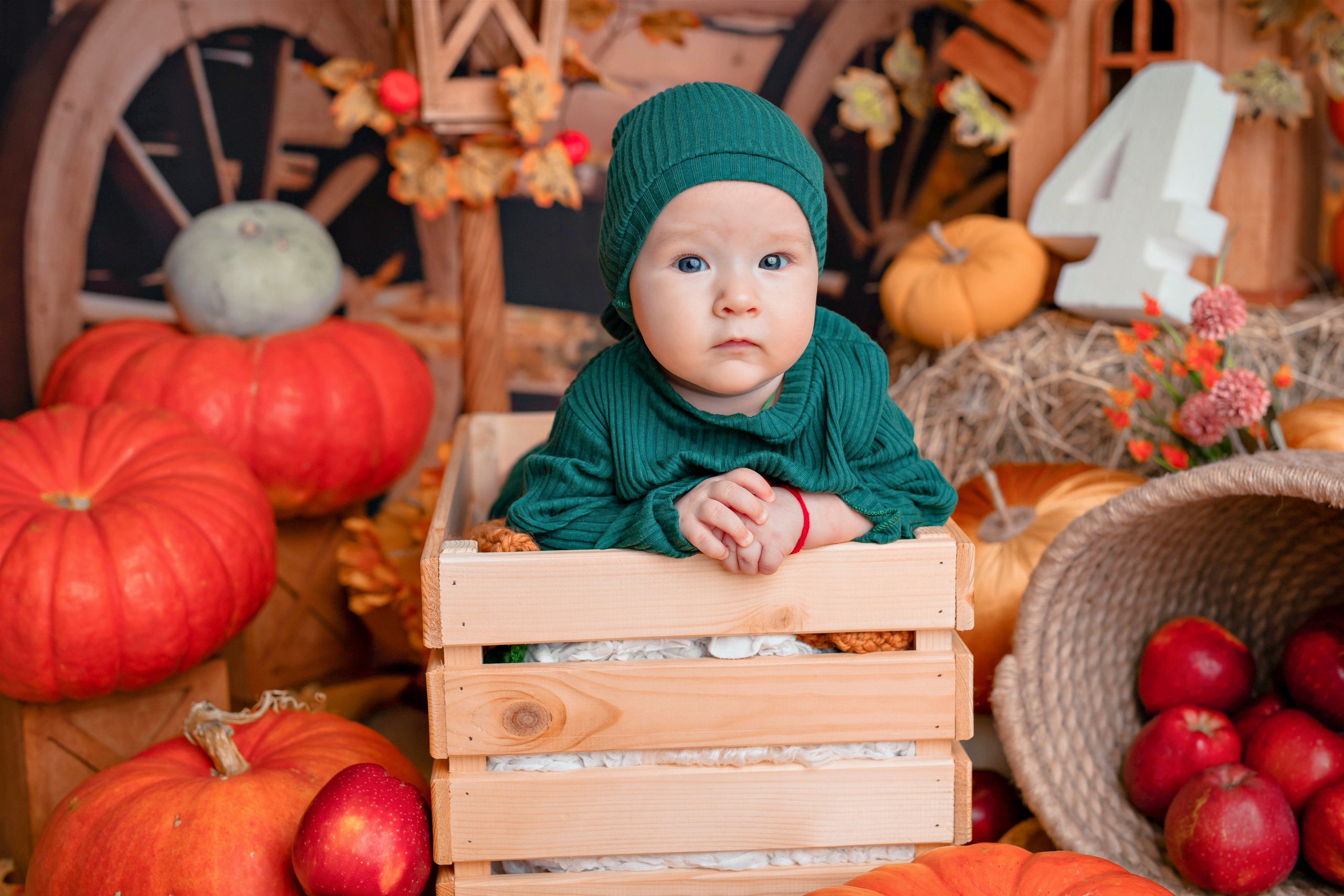 Тыквы. Фотограф Болотова Иветта