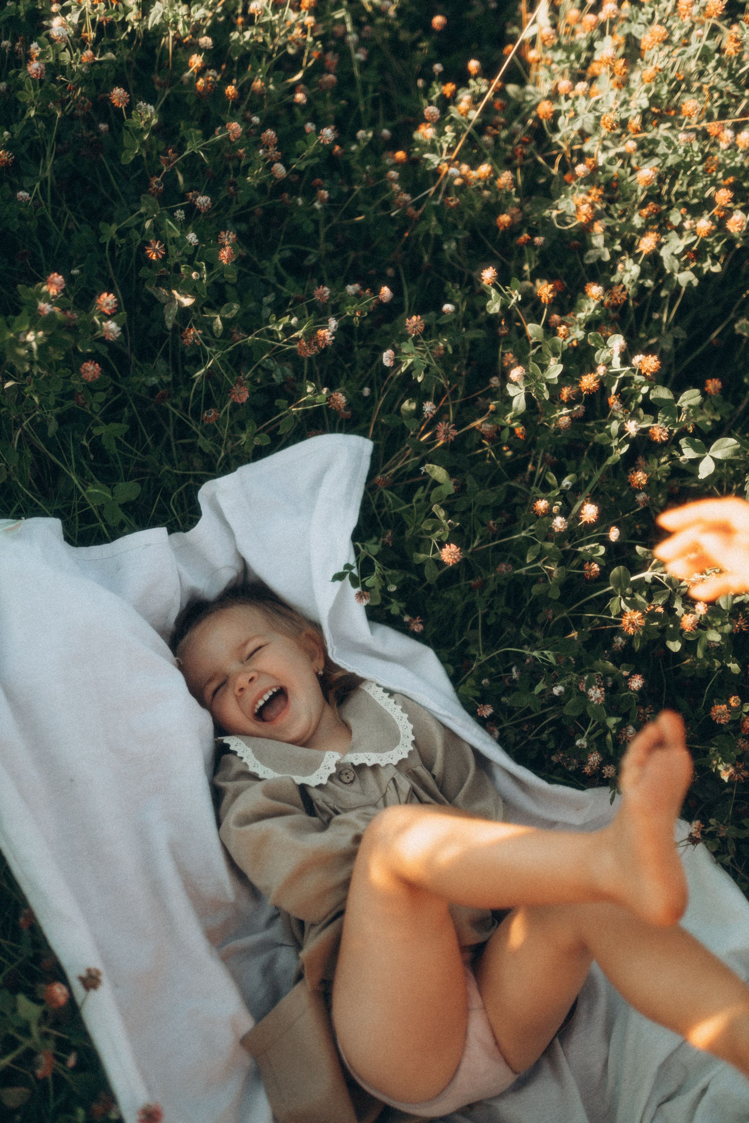 / august /. Свадебный и семейный Фотограф Карина Захаржевская Калуга